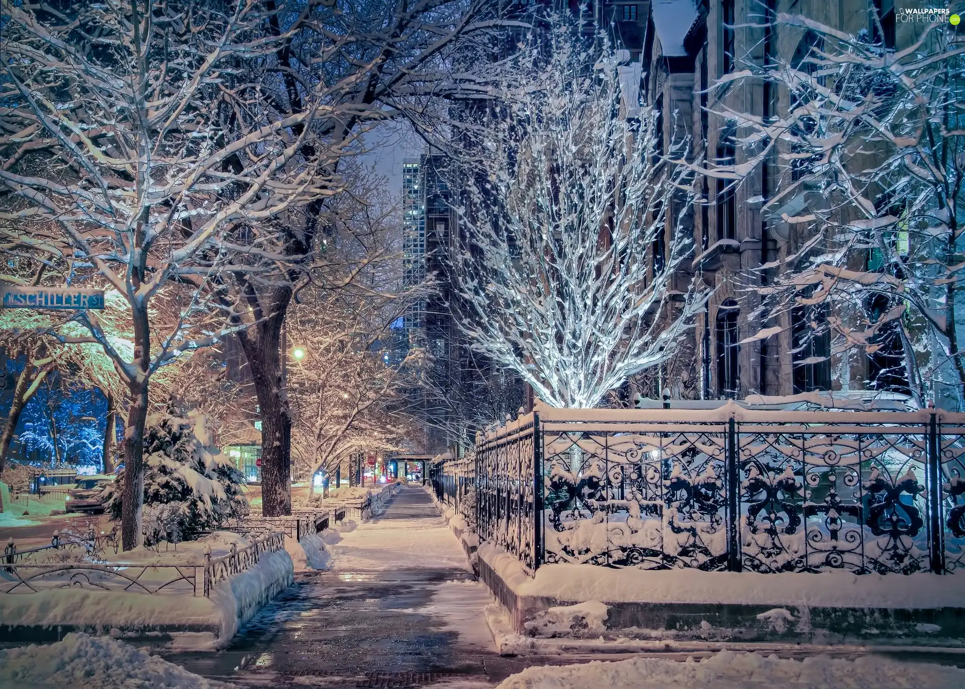 The United States, Chicago, Street, winter, viewes, Fance, Snowy, trees, snow