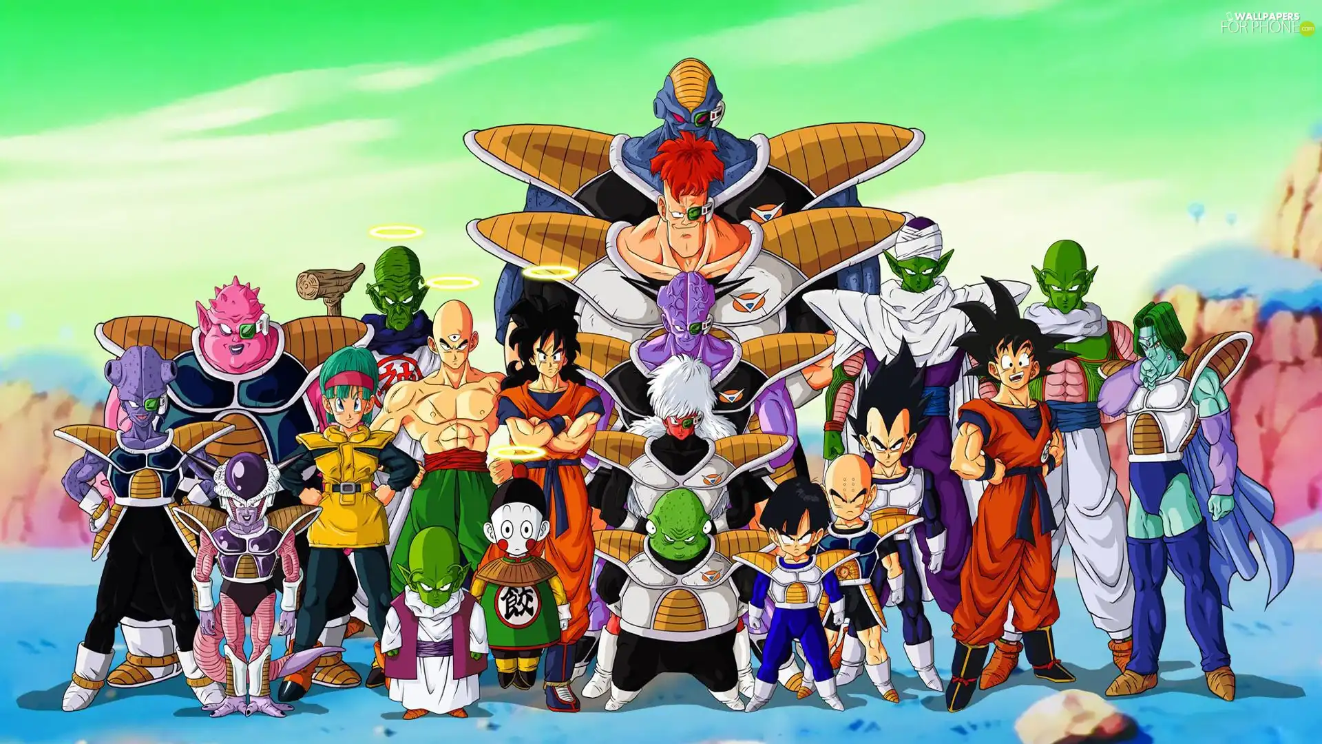Vegeta, Dragon Ball Z, Son Goku