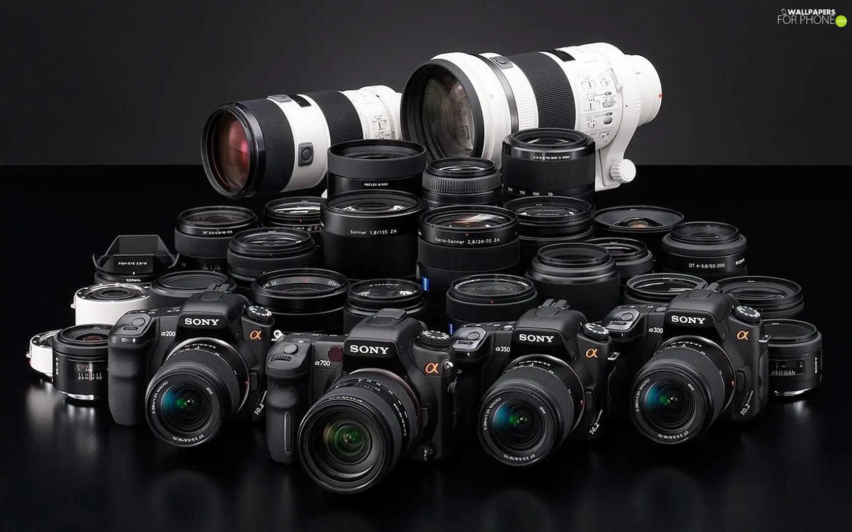 Sony, Cameras, photographic