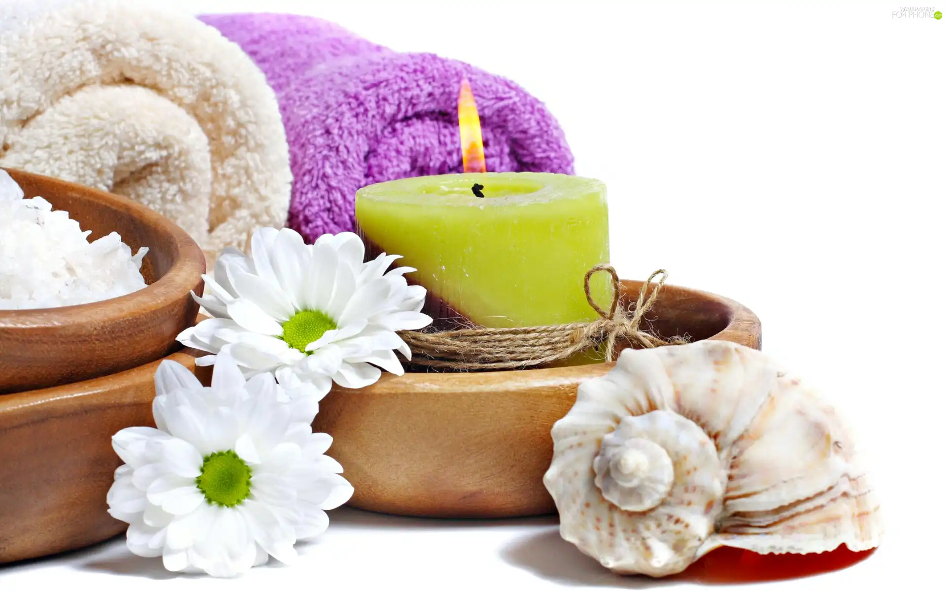 daisy, Spa, shell, candle, composition