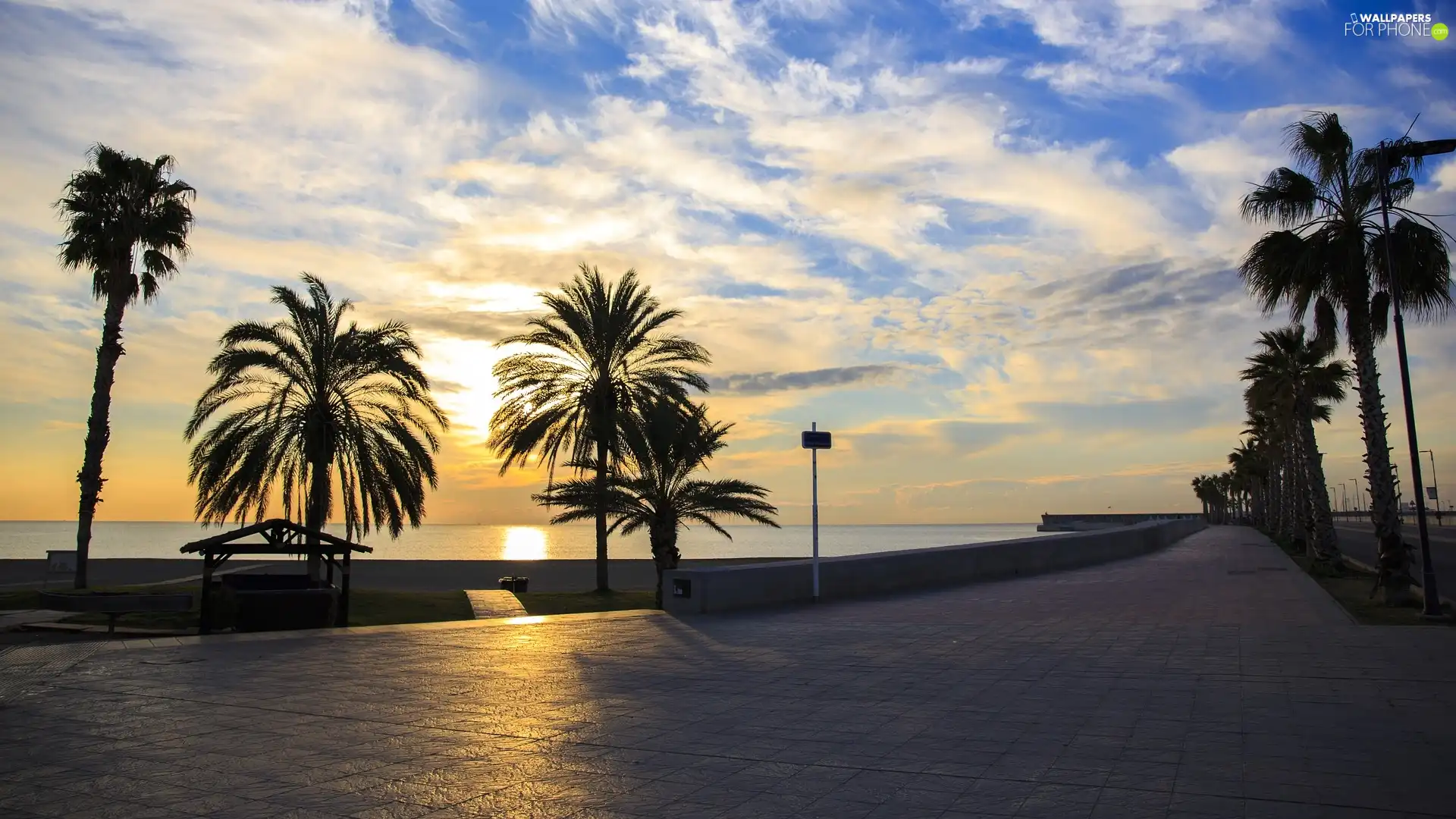 Sunrise, Palms, Malaga, Spain, Mediterranean, promenade
