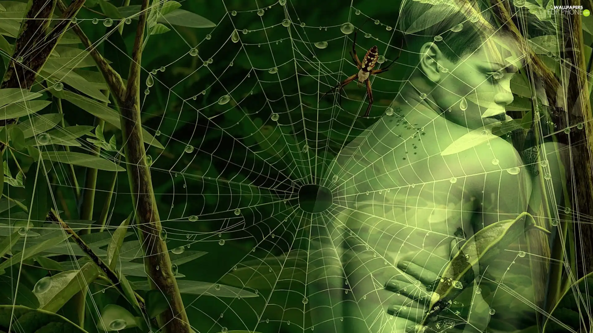 Spider, Women, Web
