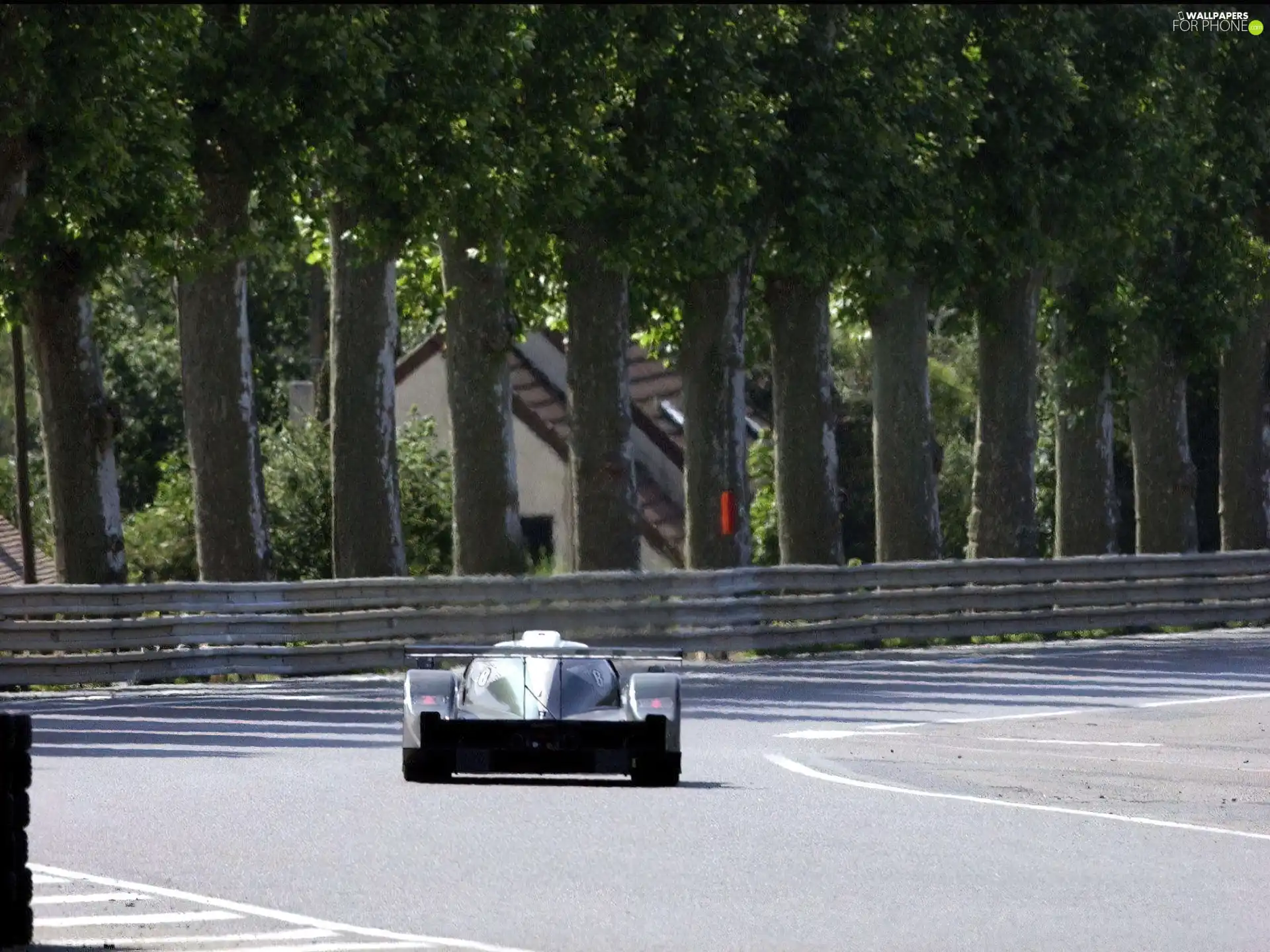 Bentley ExpSpeed 8, spoiler