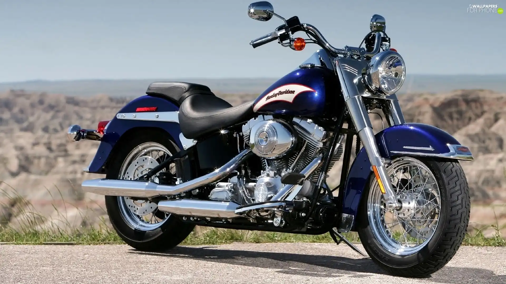 Harley Davidson Softail, spotlight