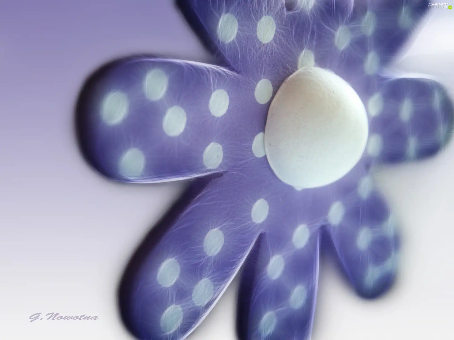 Violet, White, Spots, Flower