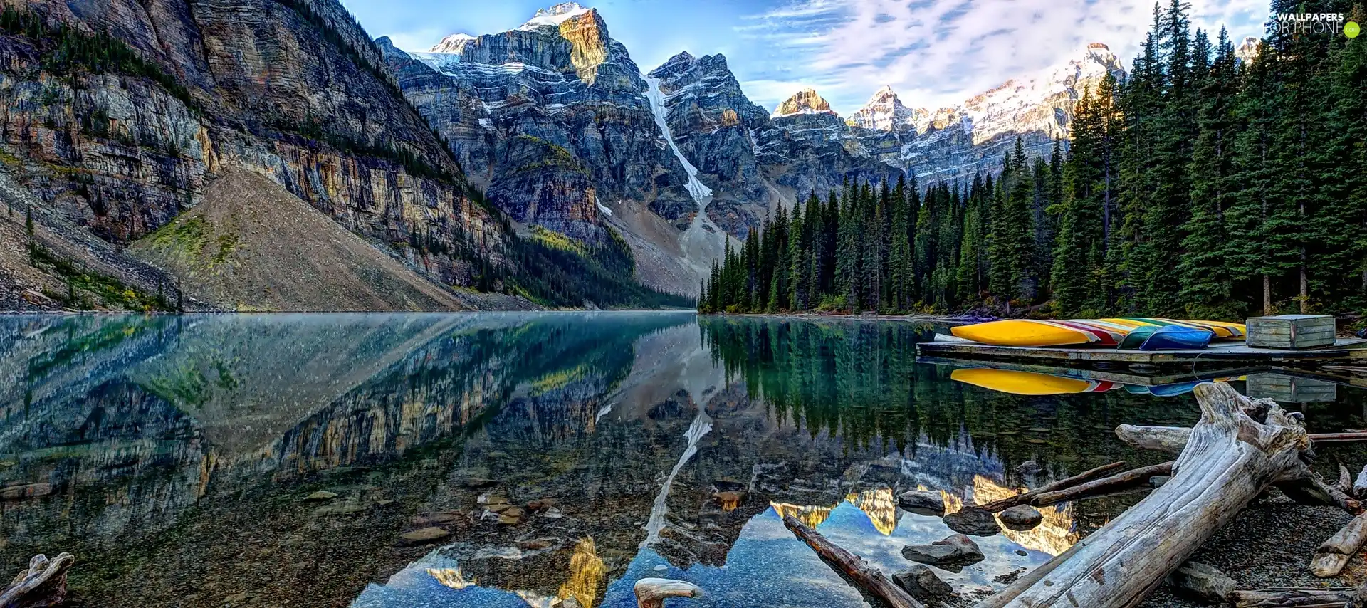 Spruces, lake, Mountains