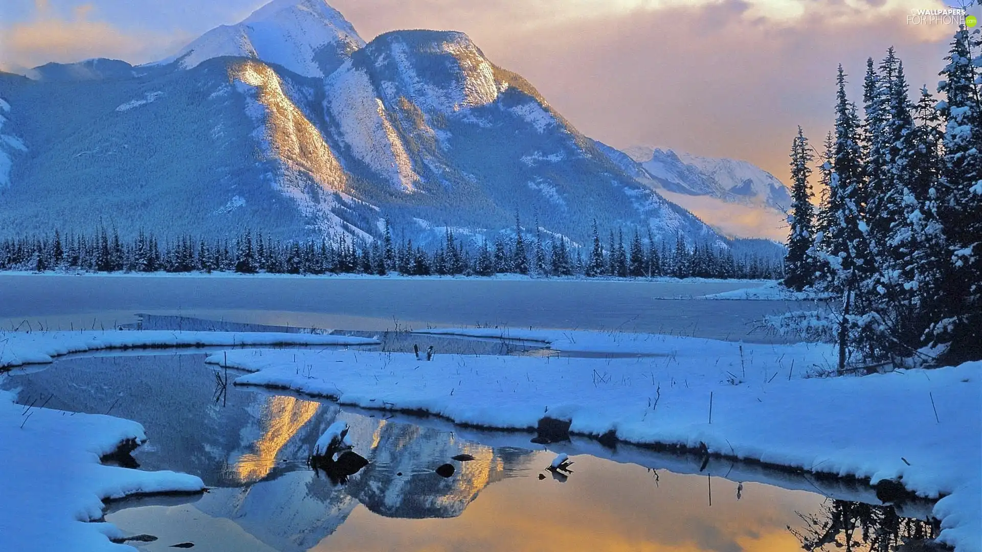 River, snow, Spruces, Mountains