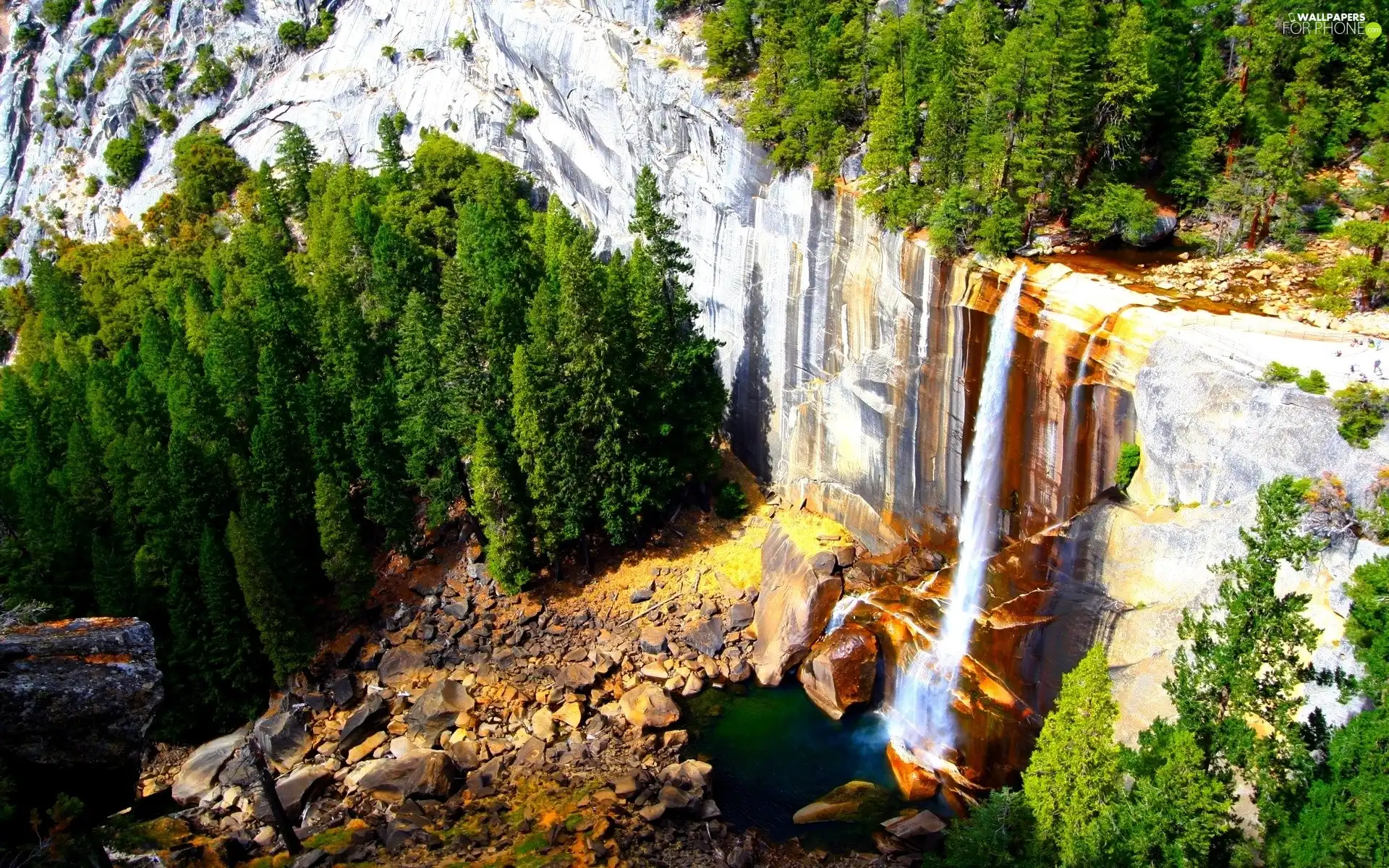 Spruces, Mountains, waterfall