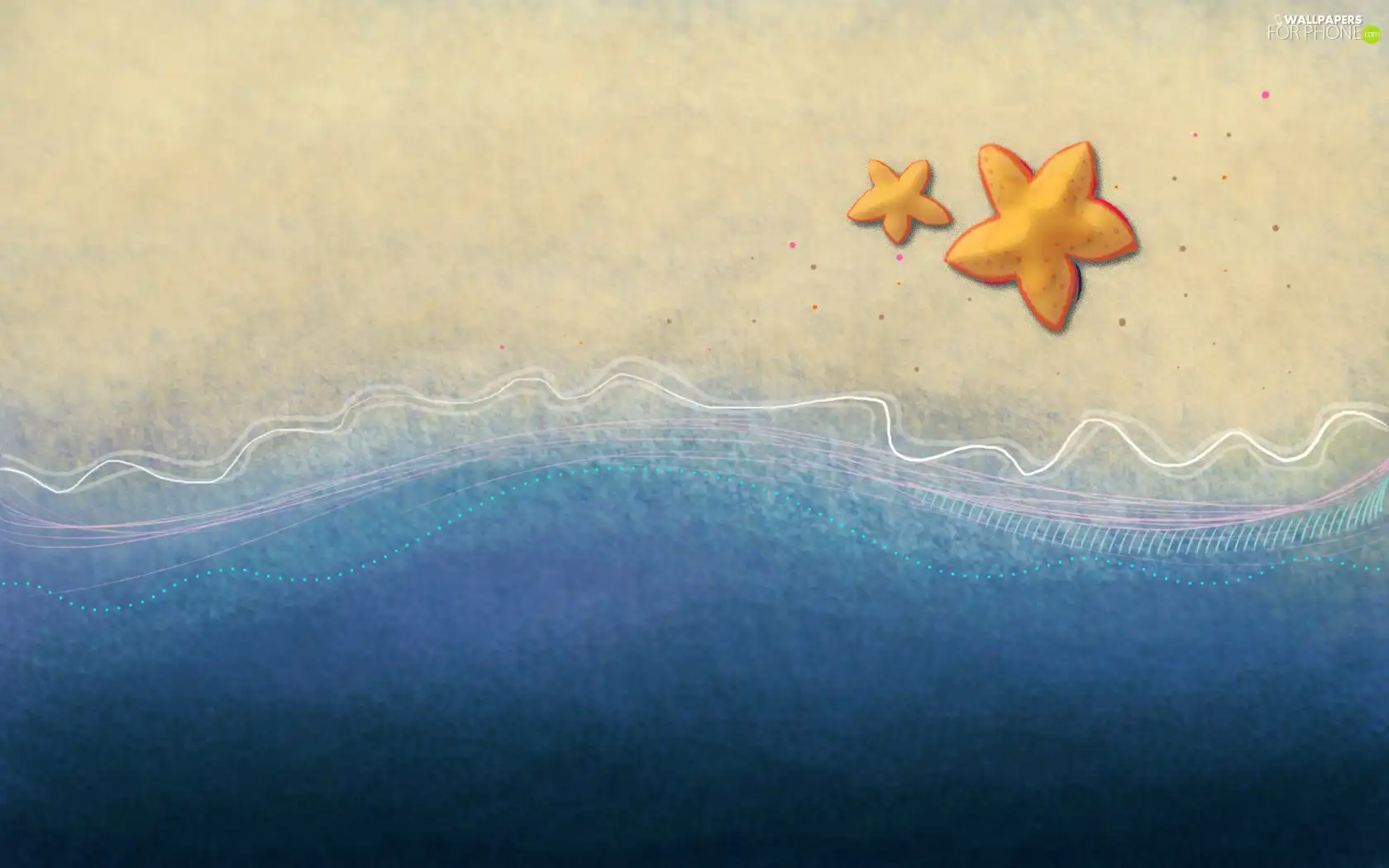 Beaches, starfish