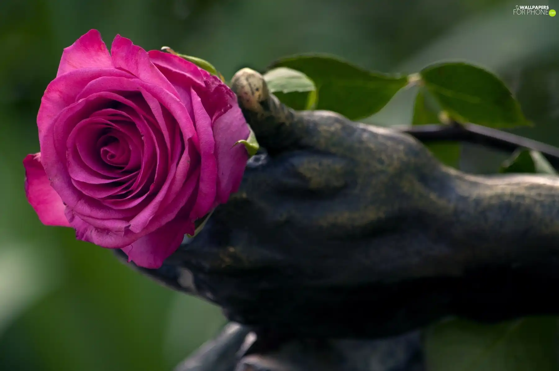 Pink, hand, Statue monument, rose