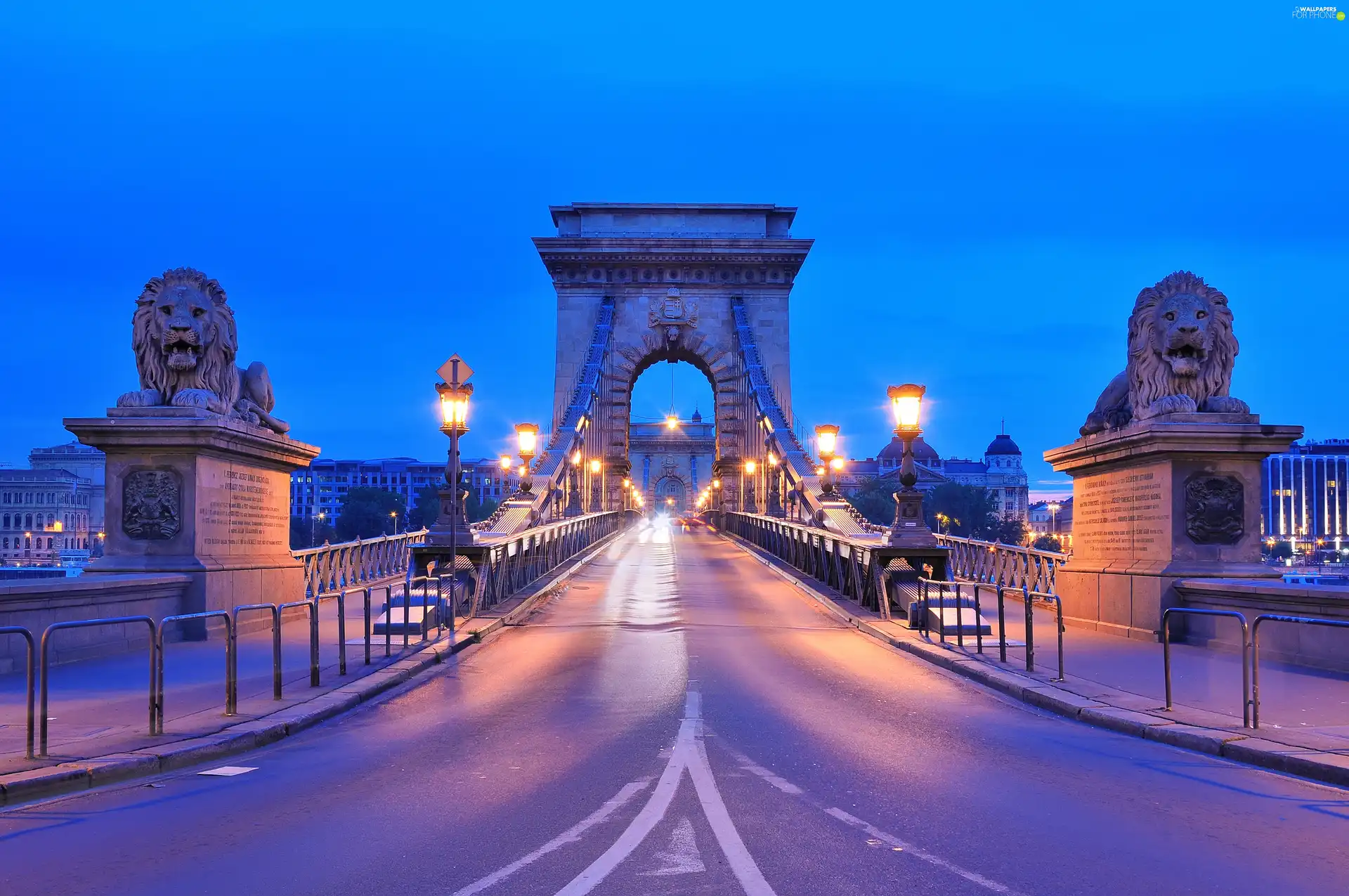 statues, lions, Budapest, Chain Bridge, Hungary