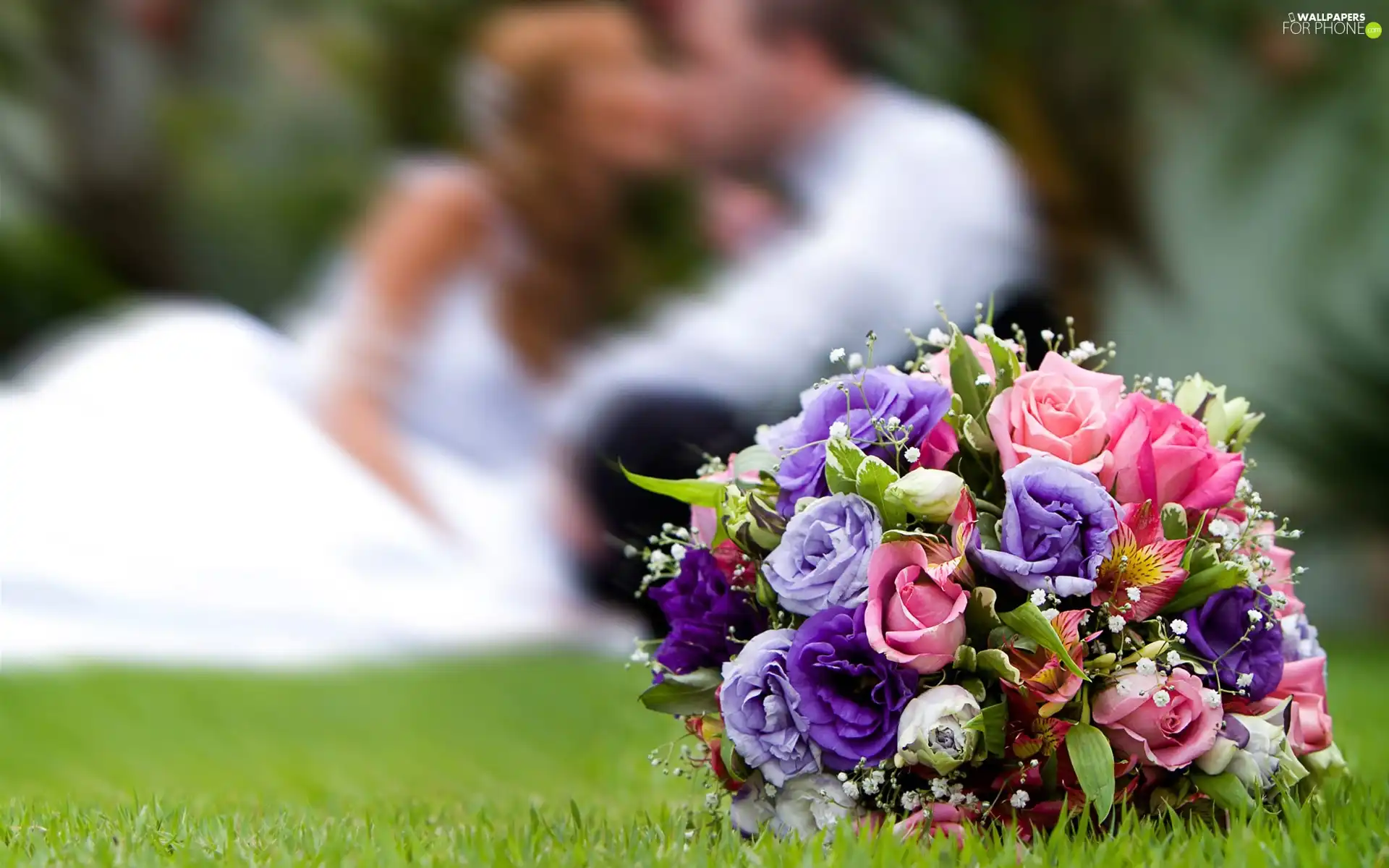 bouquet, young, Steam, flowers