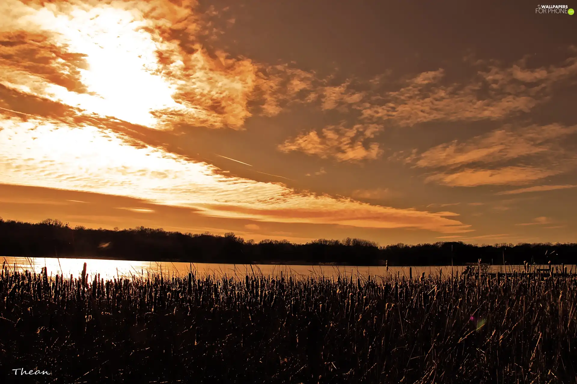 stick, water, Sky, clouds, lake