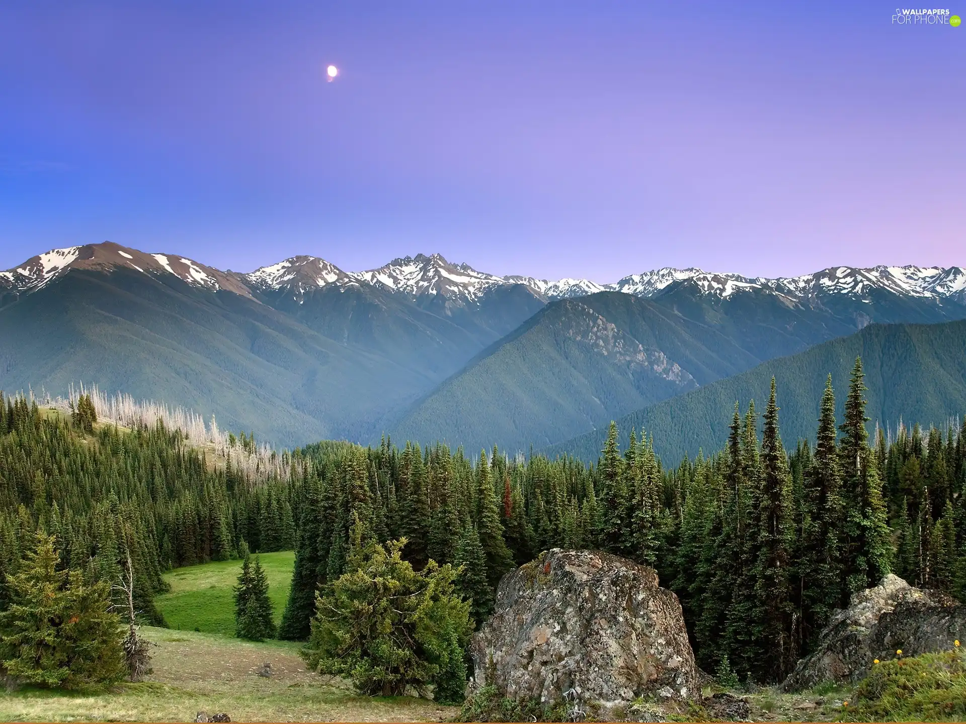 stone, Mountains, forest