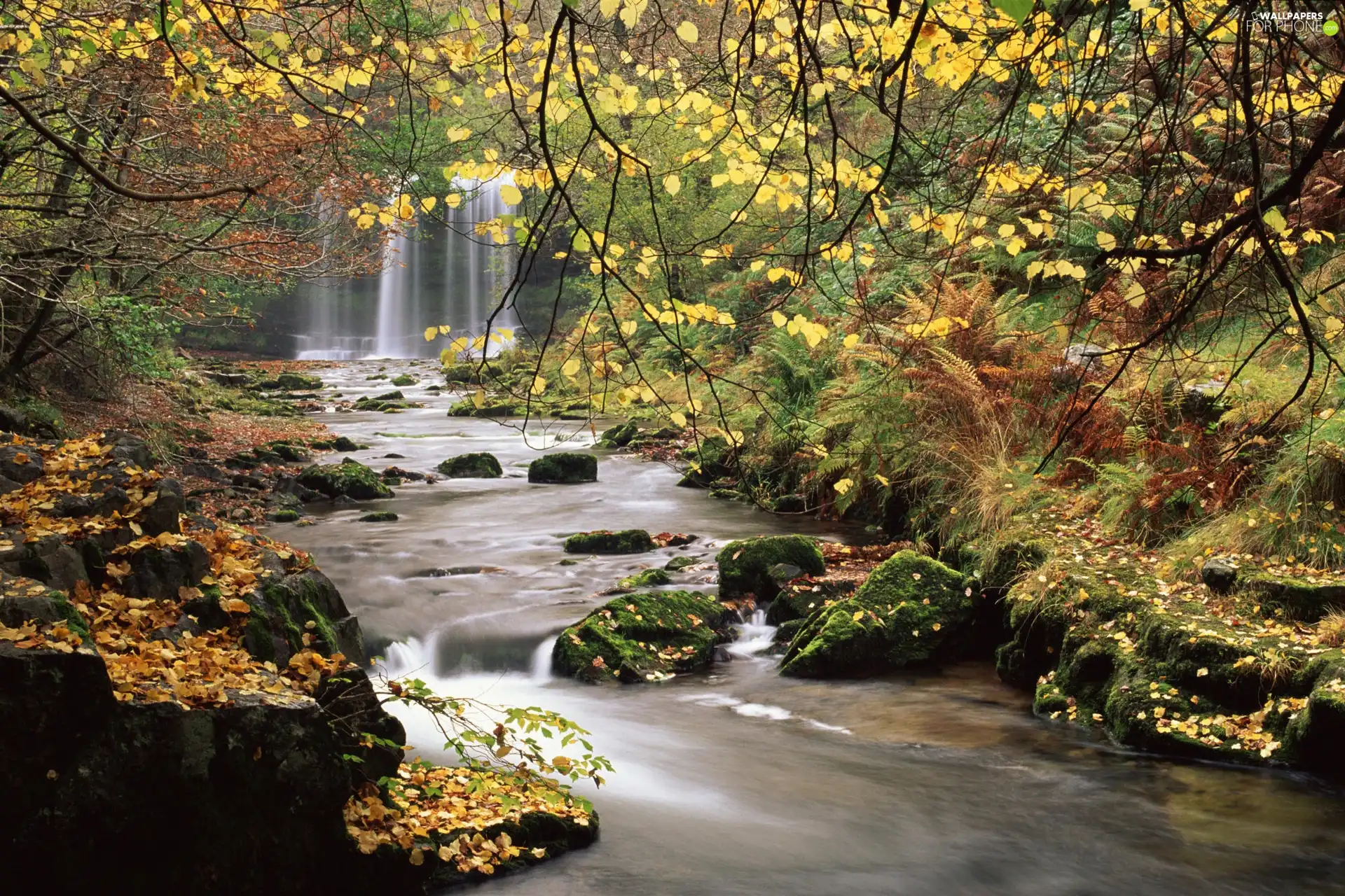 autumn, River, Stones, waterfall