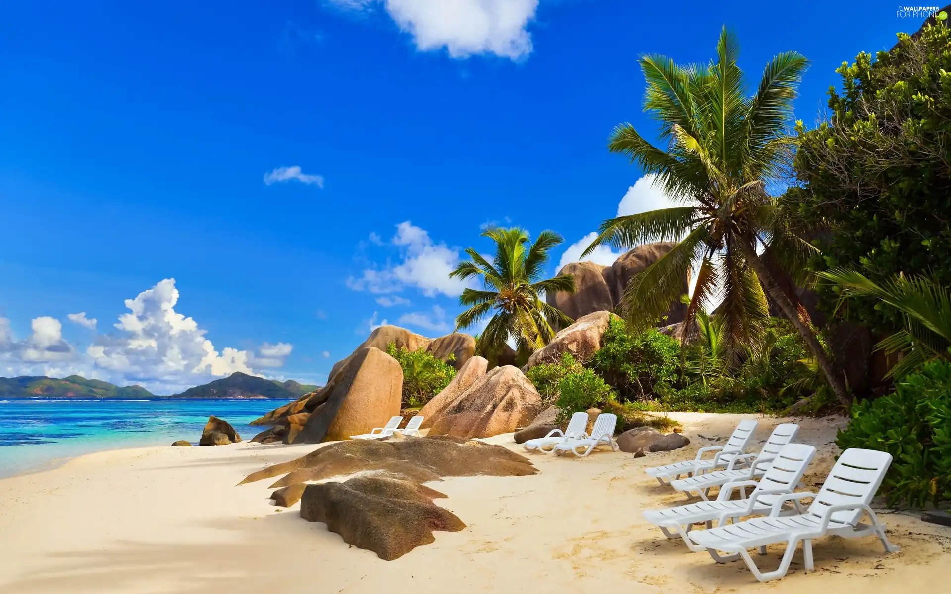 Palms, Stones, holiday, Beaches