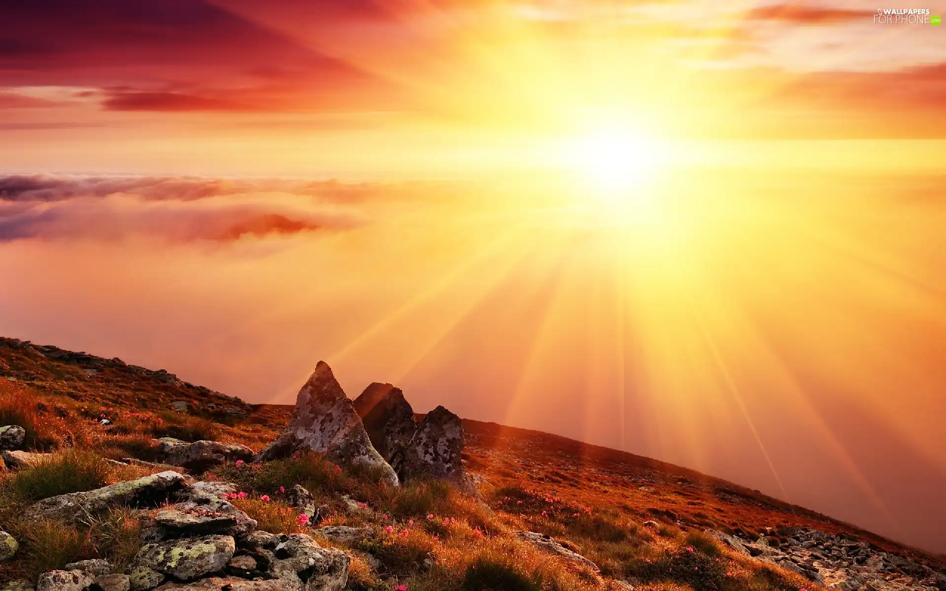 Stones rocks, Flowers, sun, mountains, rays