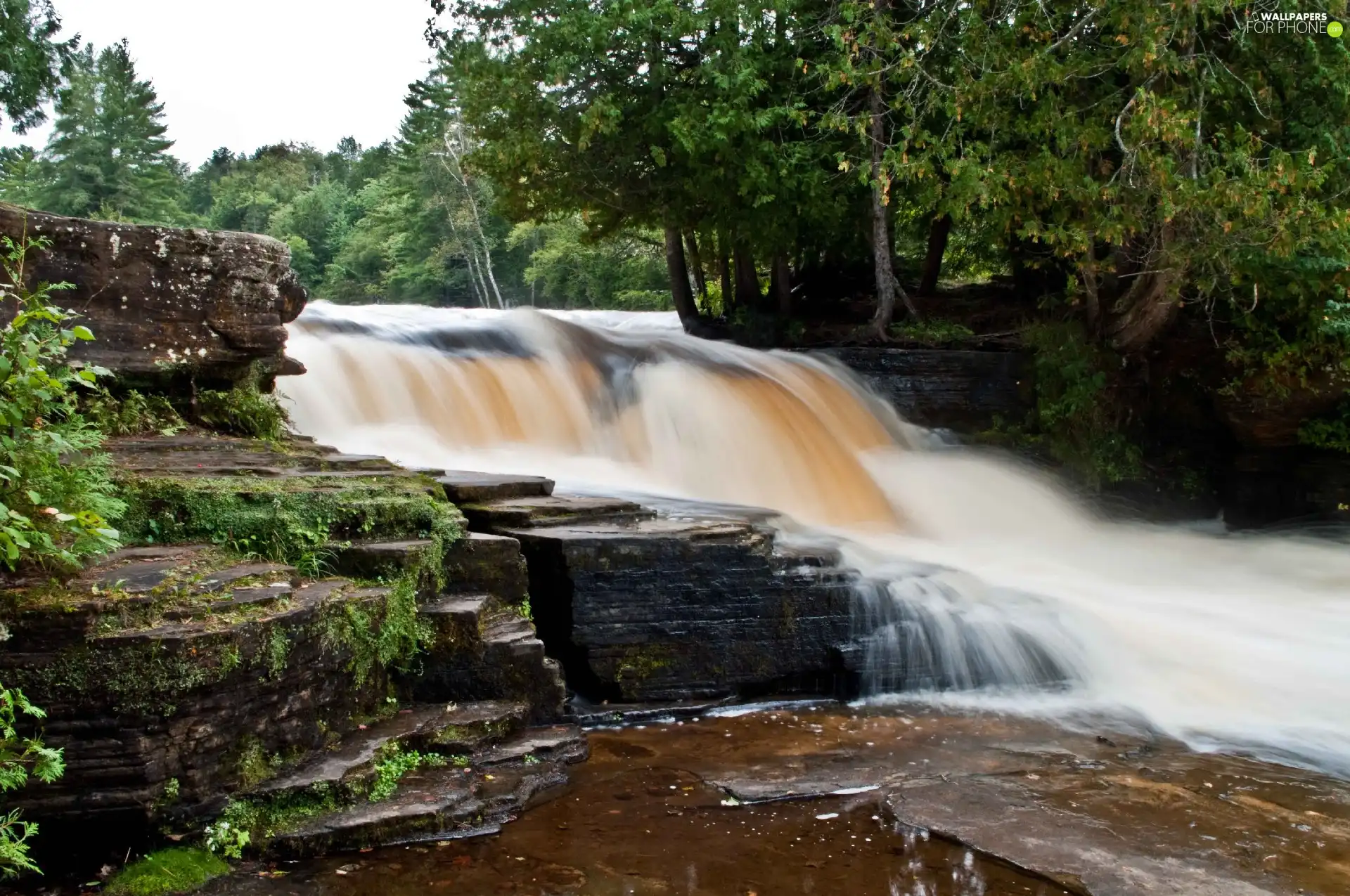 forest, waterfall, Stones rocks