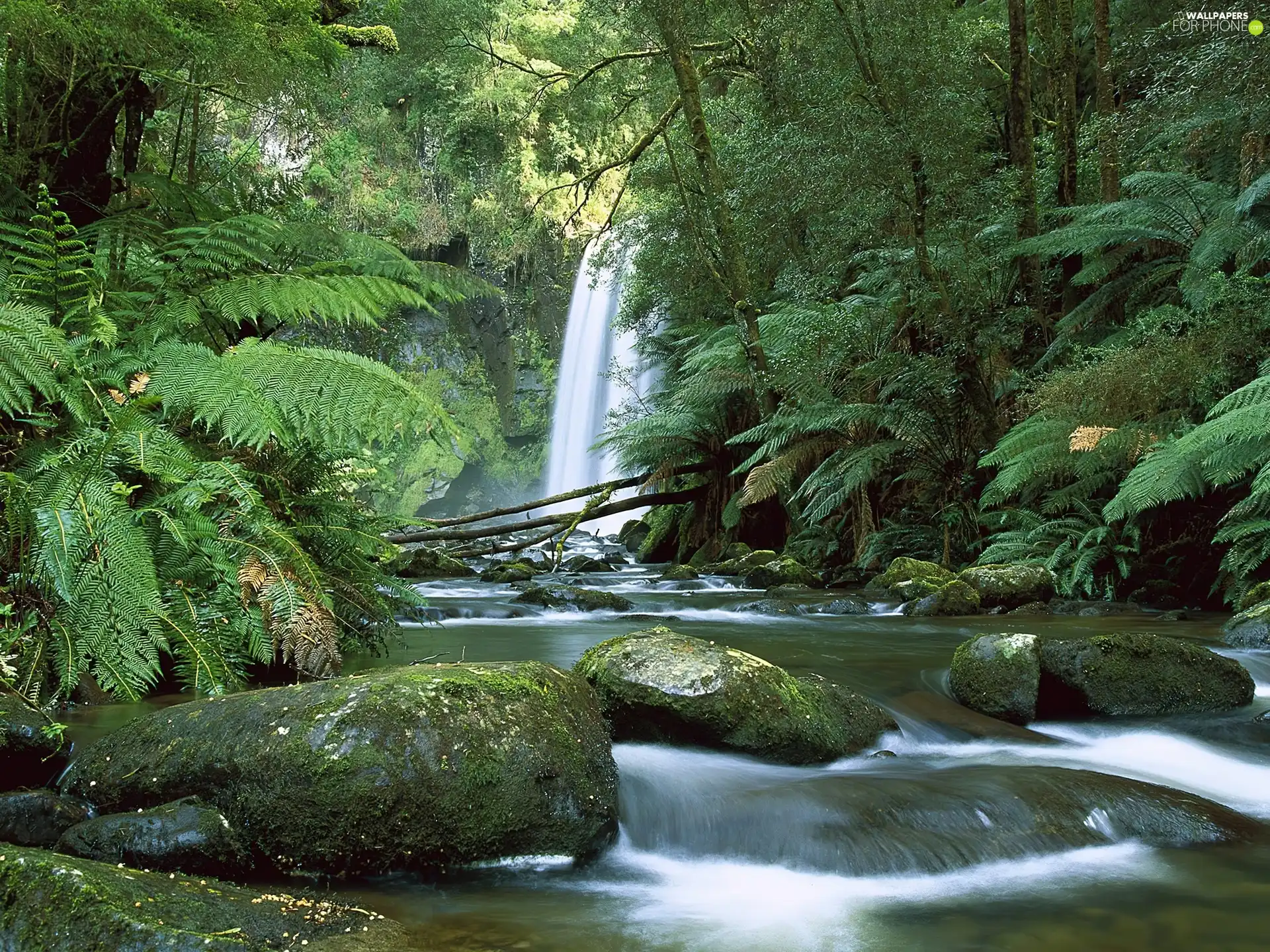 Stones, waterfall, forest