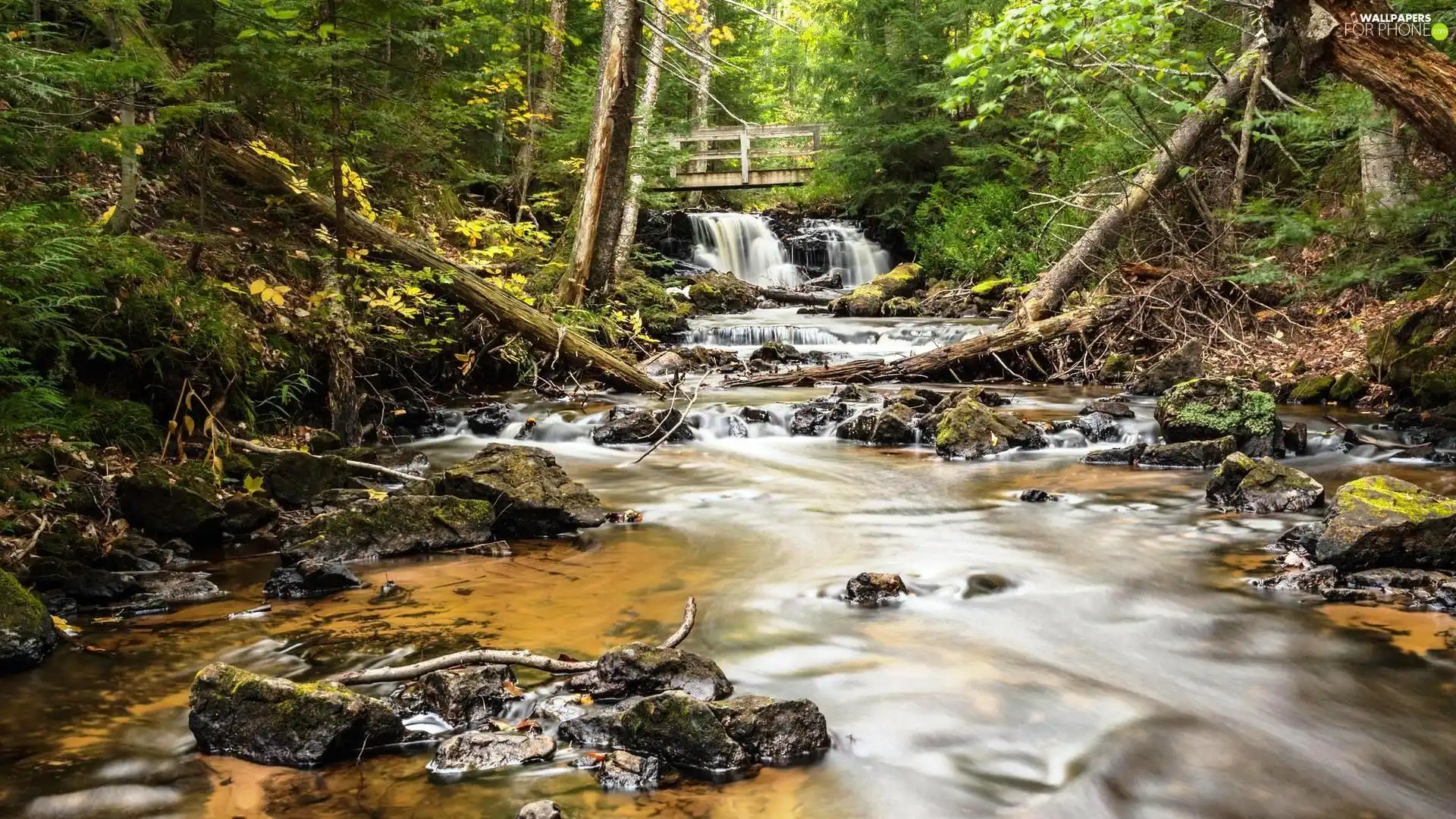 Stones, waterfall, forest