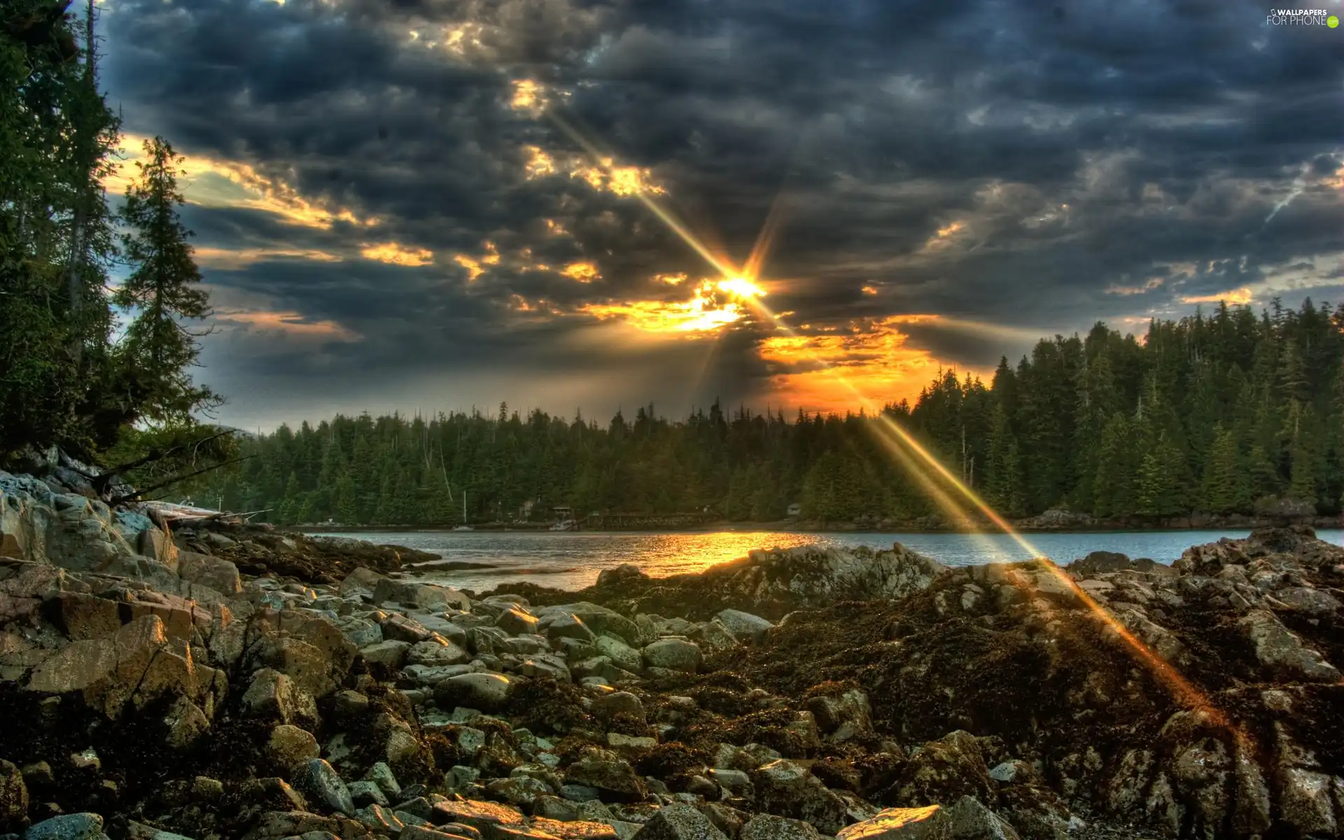 Stones, forest, sun, River, west