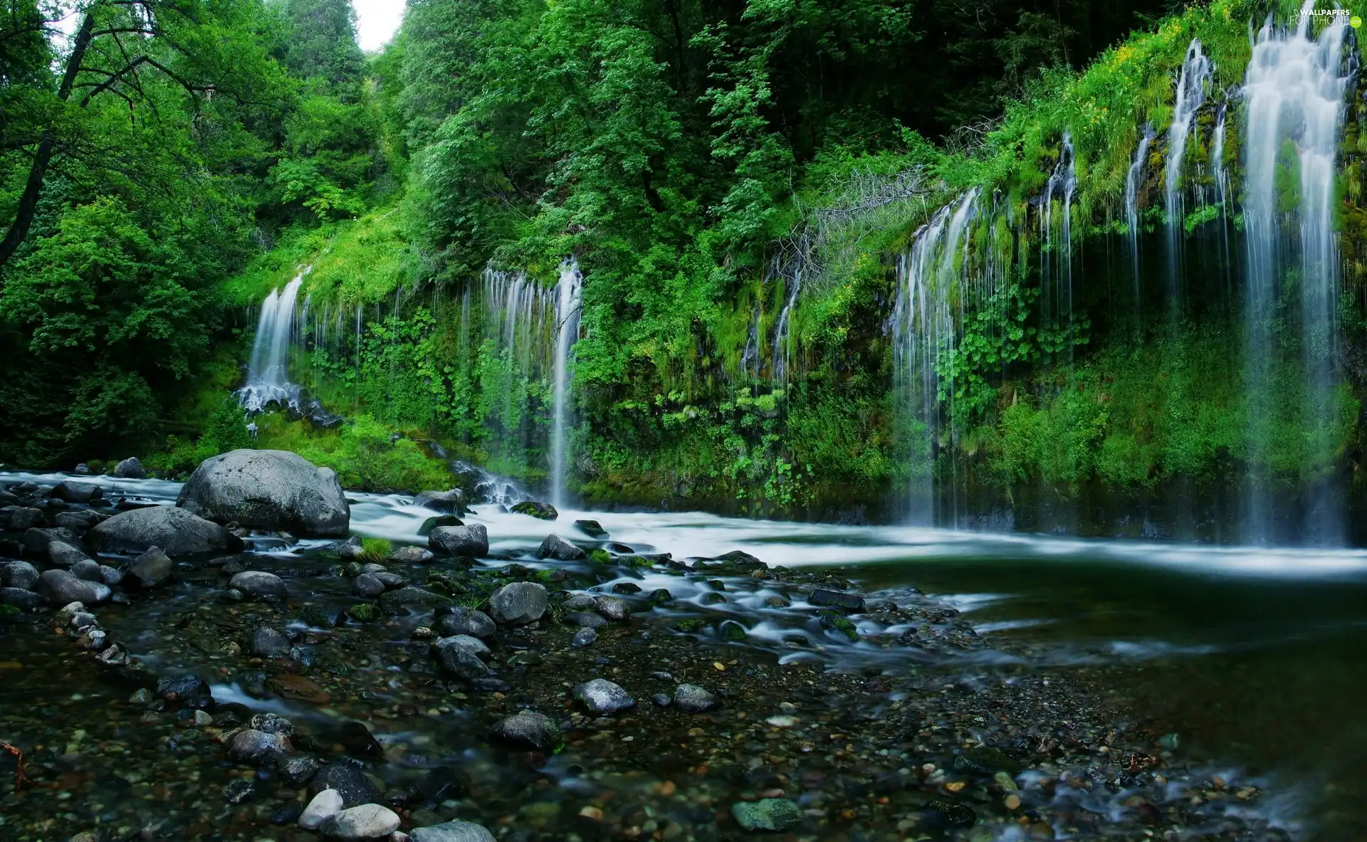 Stones, waterfall, green