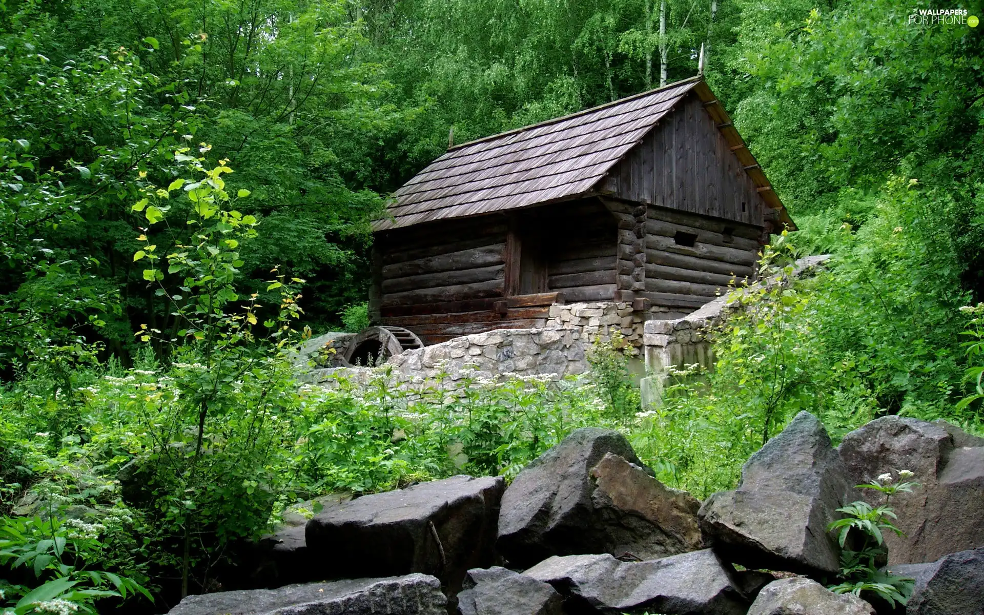 Stones, forest, Home