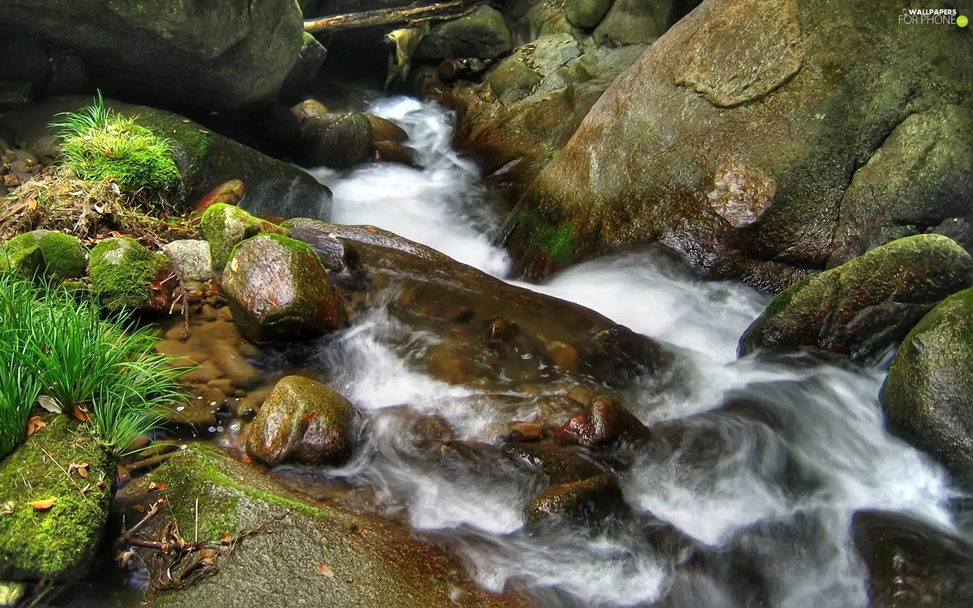 River, Stones