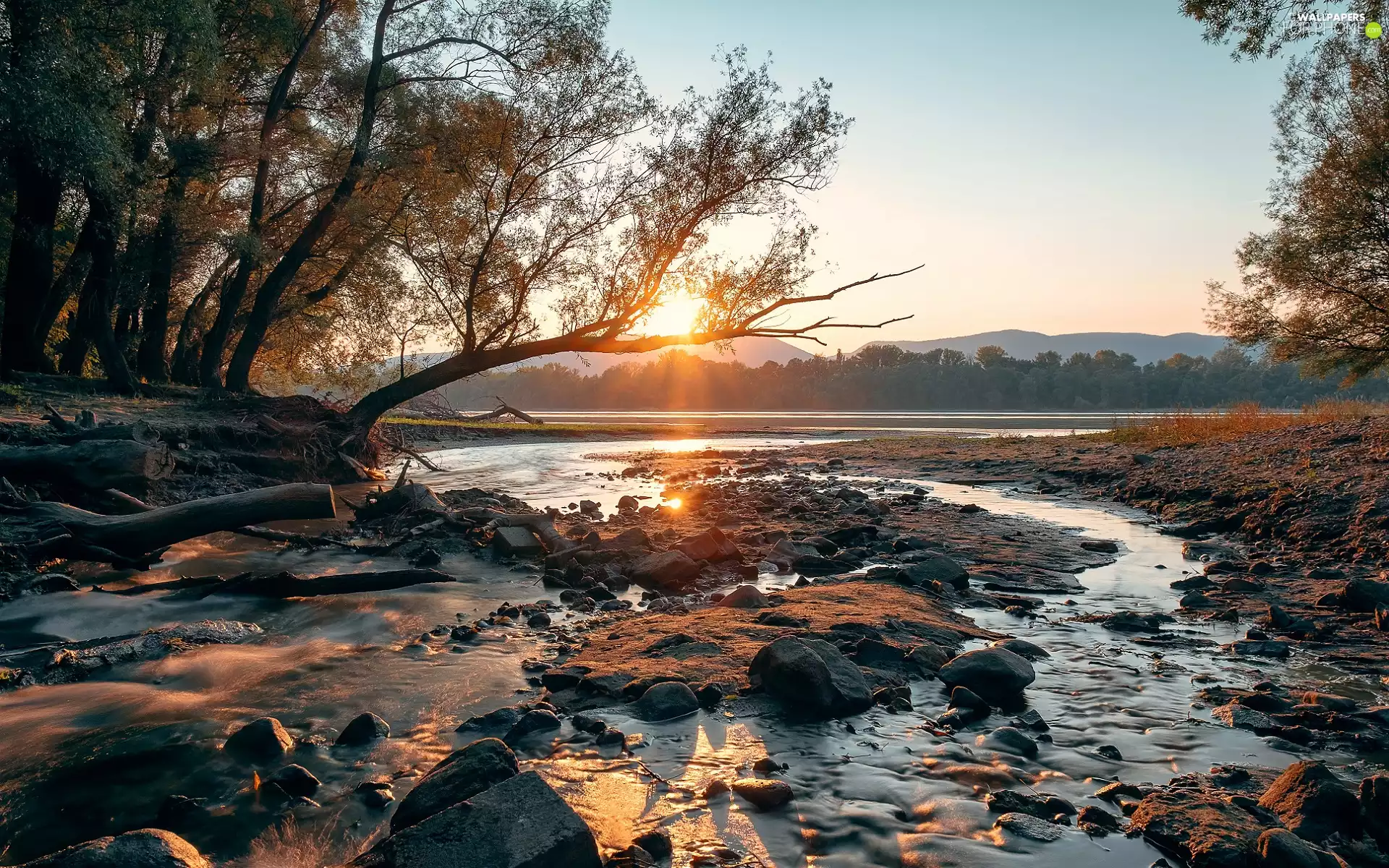 viewes, Stones, River, trees, Sunrise