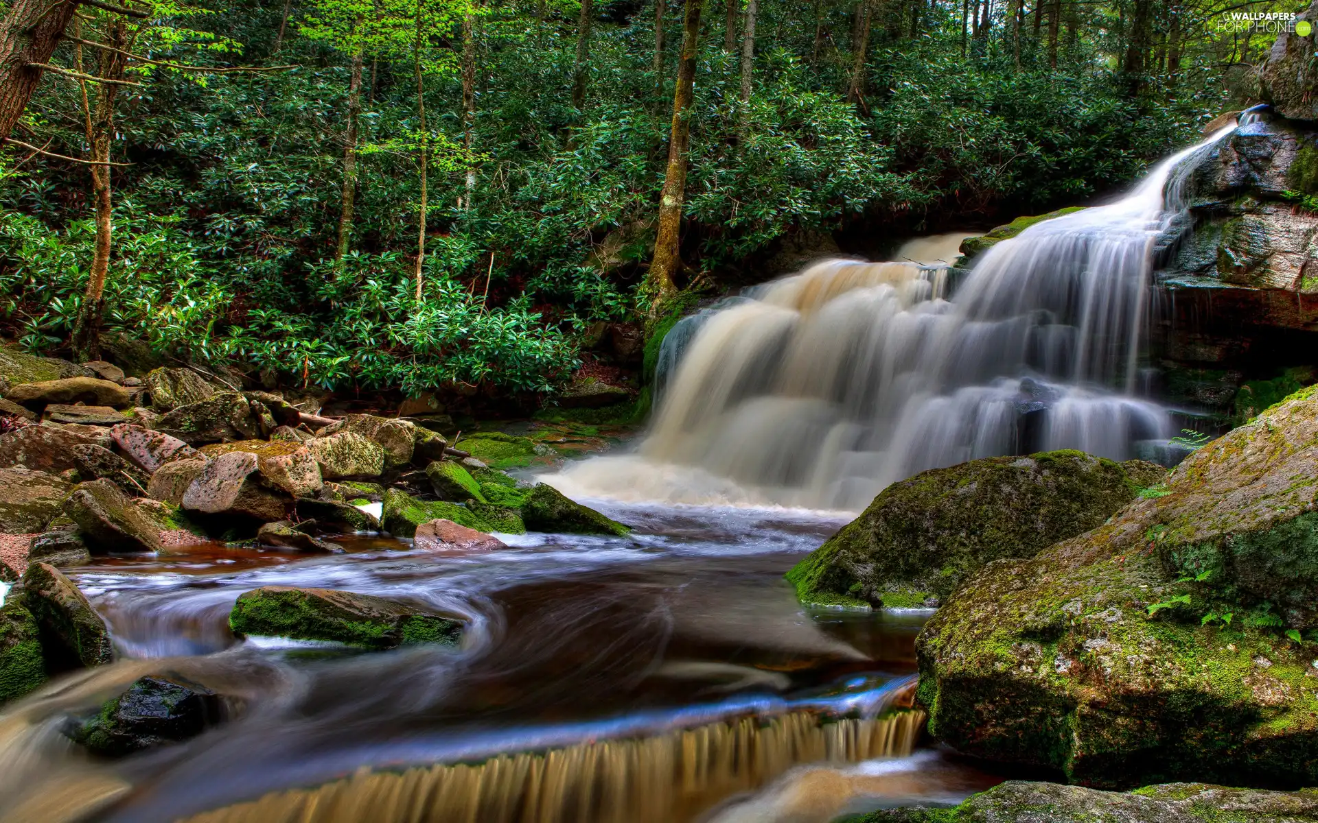 viewes, River, Rocks, mossy, waterfall, trees, forest, Stones