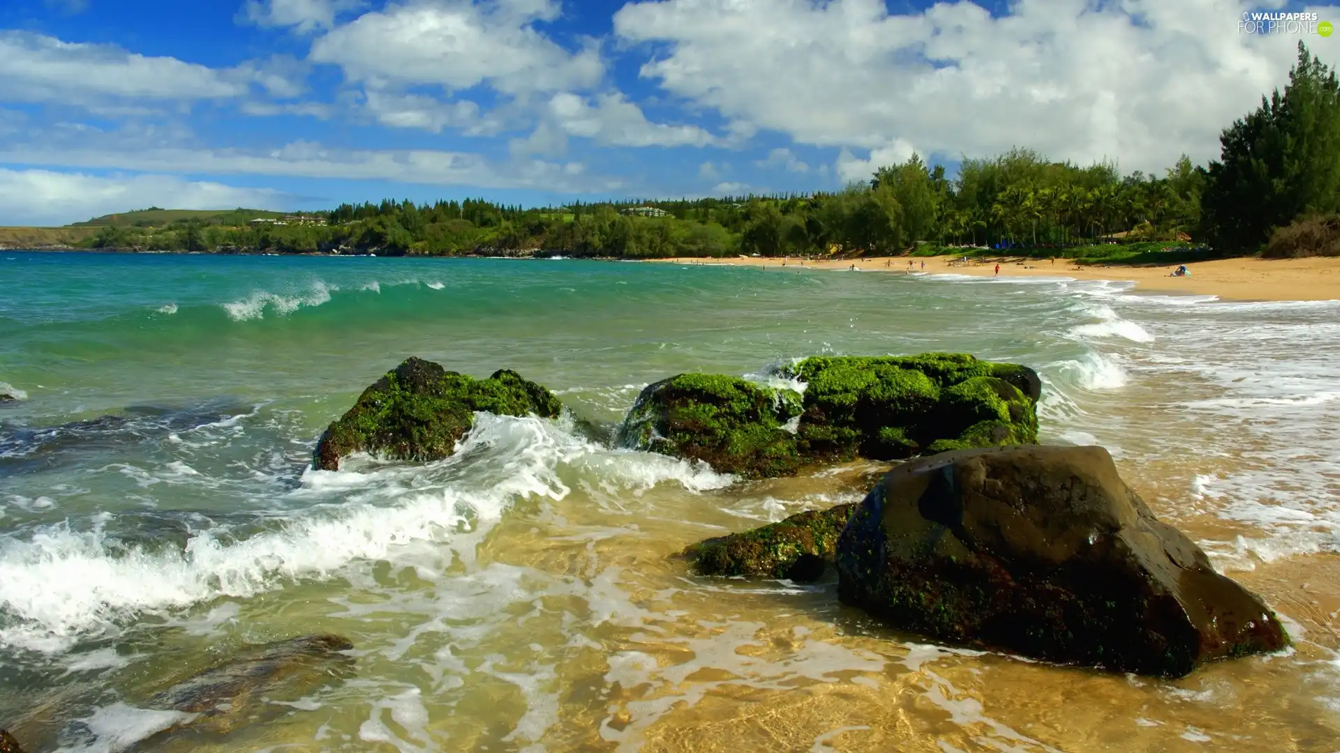 Stones, Coast, sea