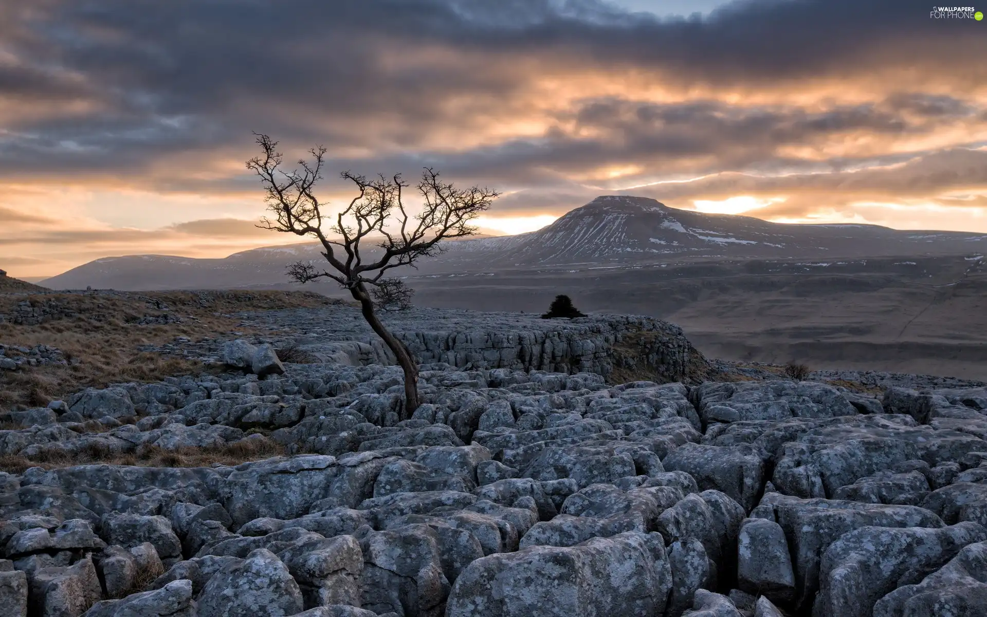 Stones, trees, sun, rocks, west