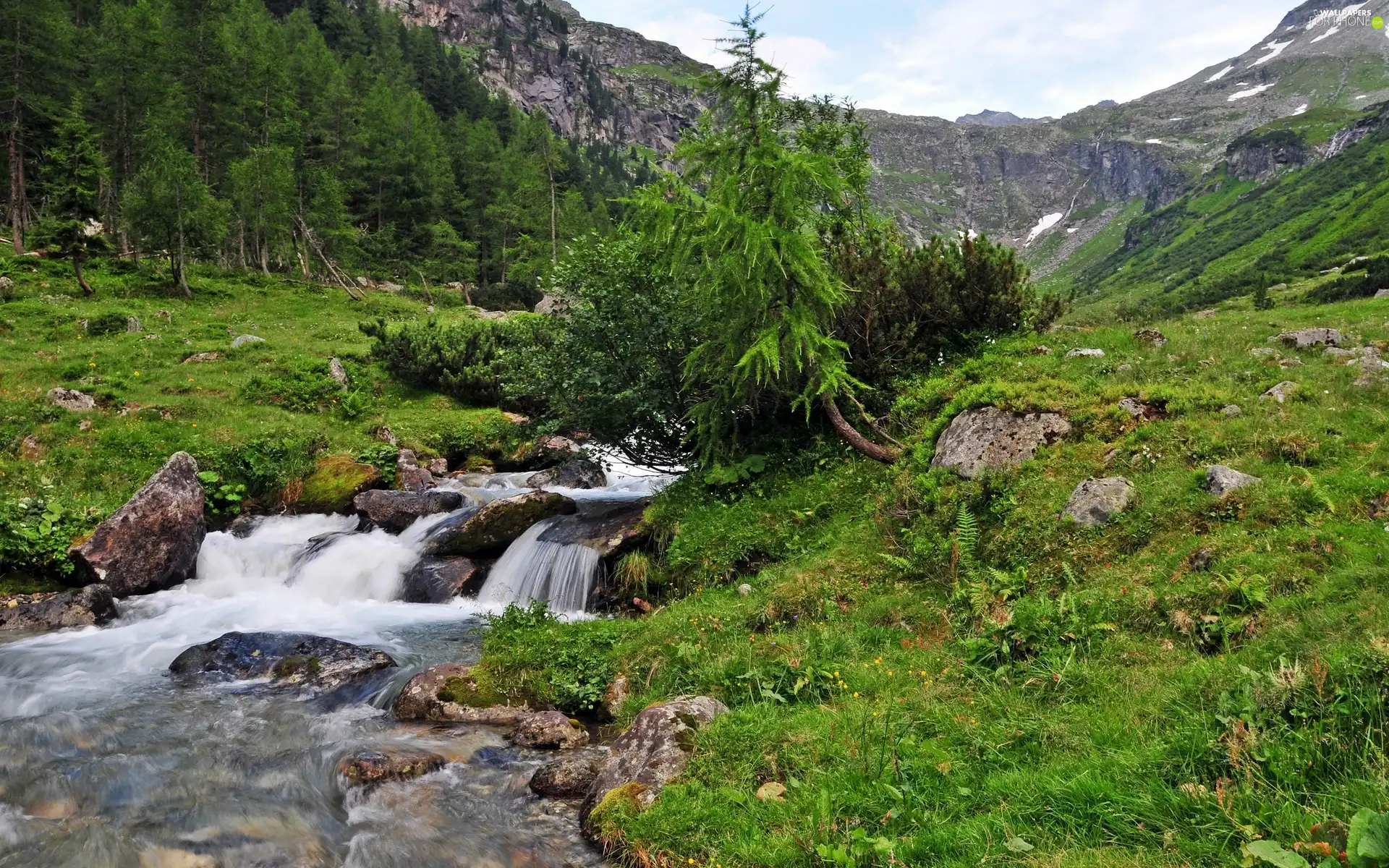 Stones, woods, mountainous, rocks, stream