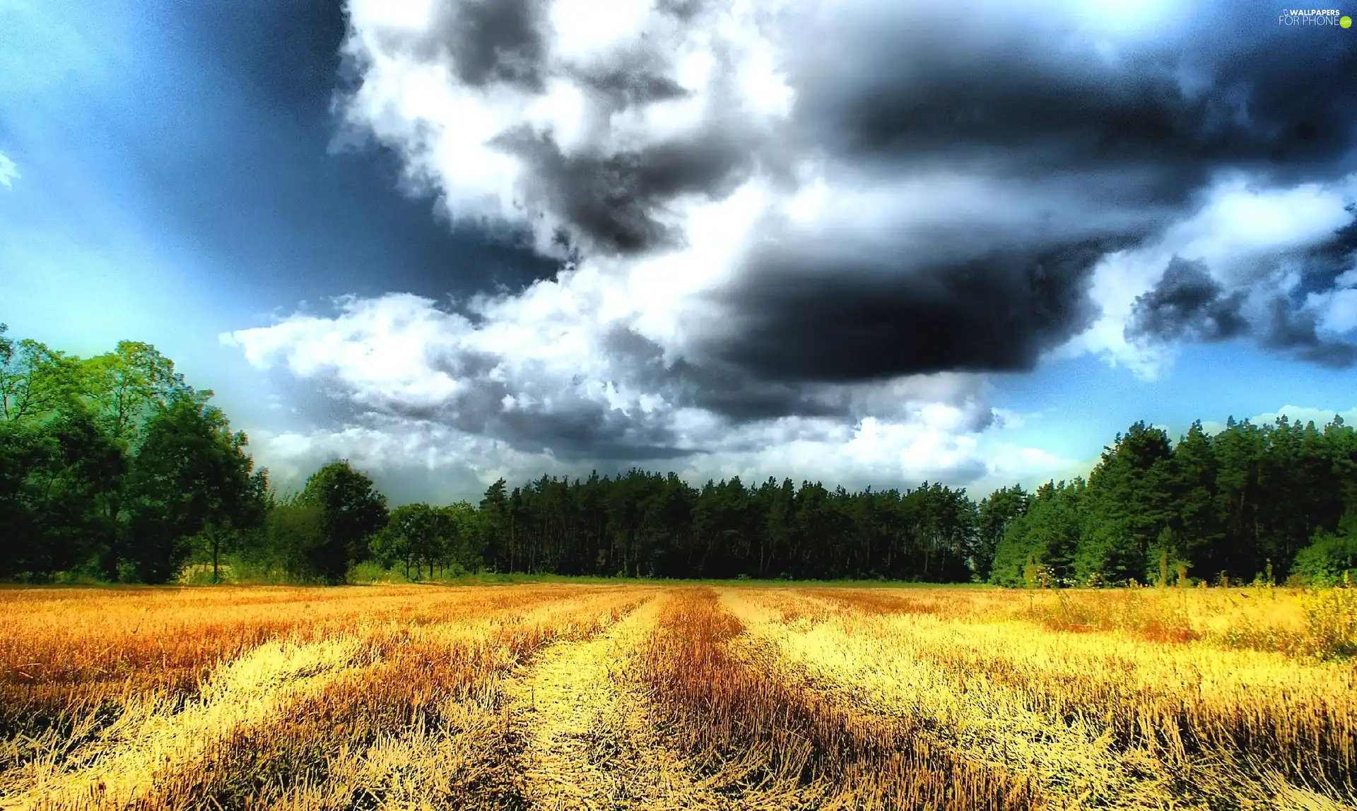 stubble, clouds, storm, Field