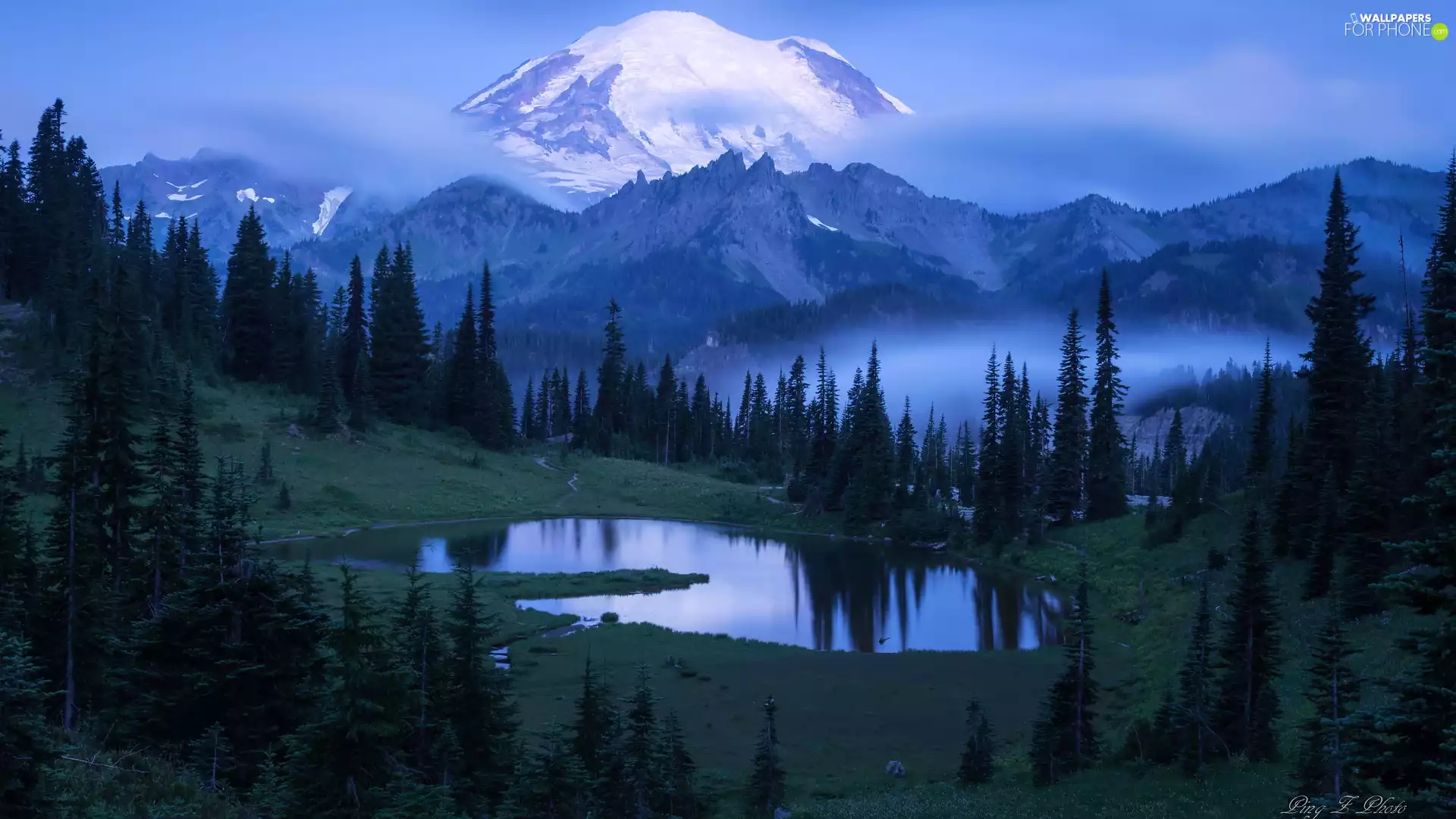 Mountains, Mount Rainier National Park, Stratovolcano Mount Rainier, trees, Washington State, The United States, Lake Tipsoo, Fog, viewes