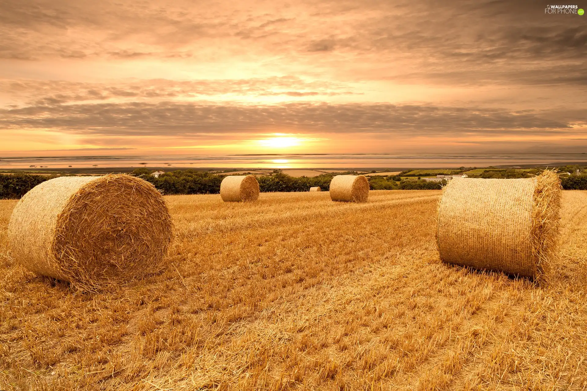 straw, harvest, sun, field, west