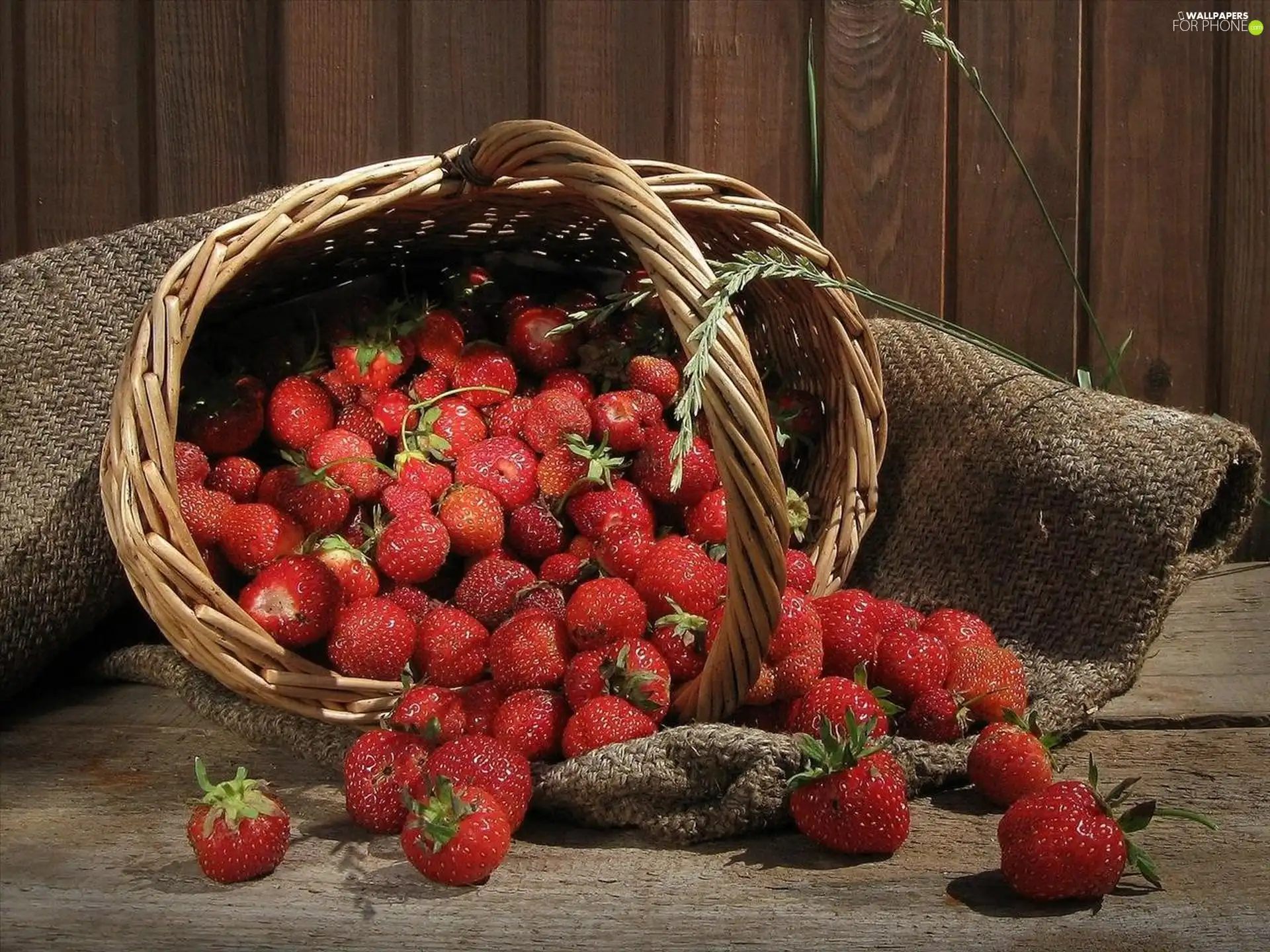 basket, strawberries