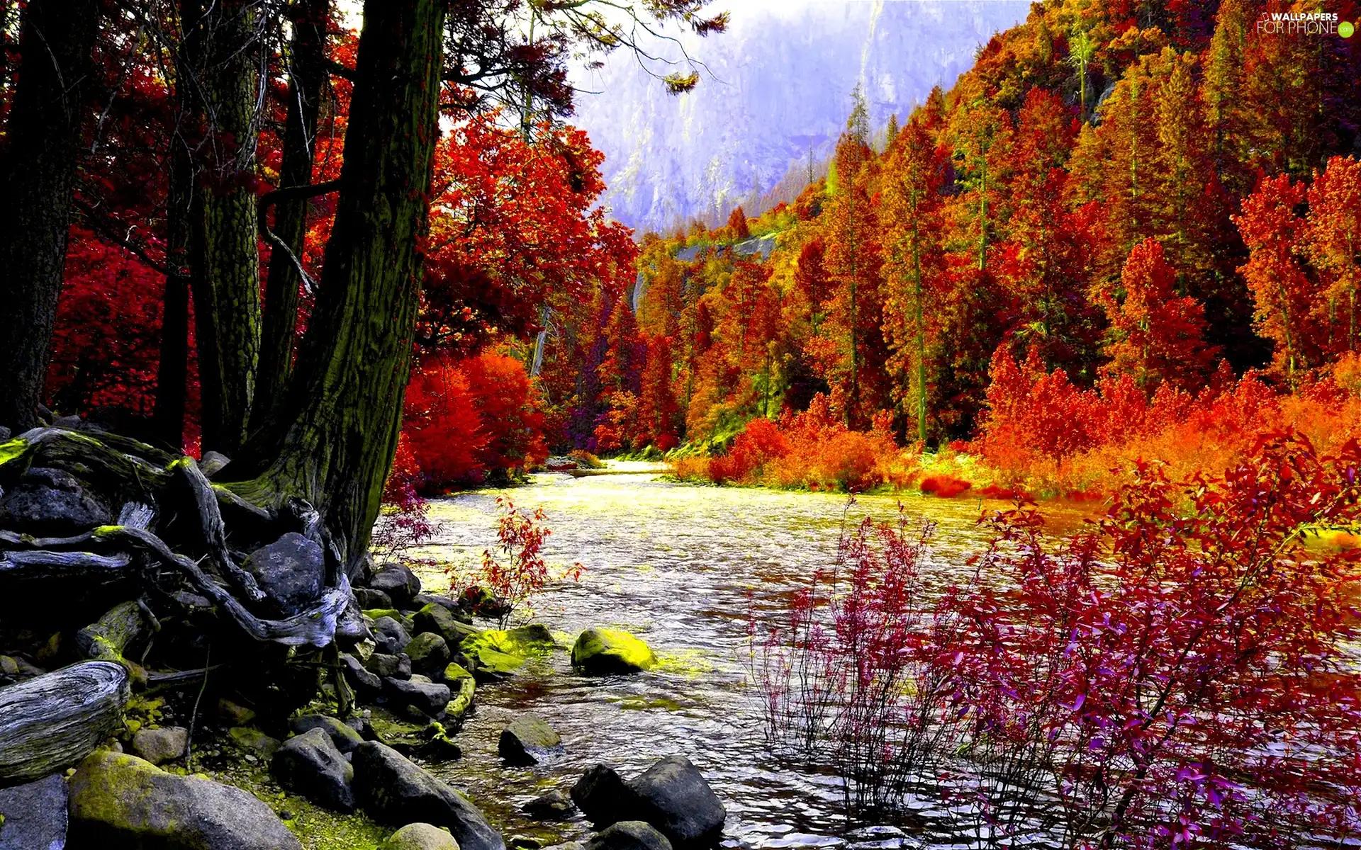 autumn, forest, stream, Mountains