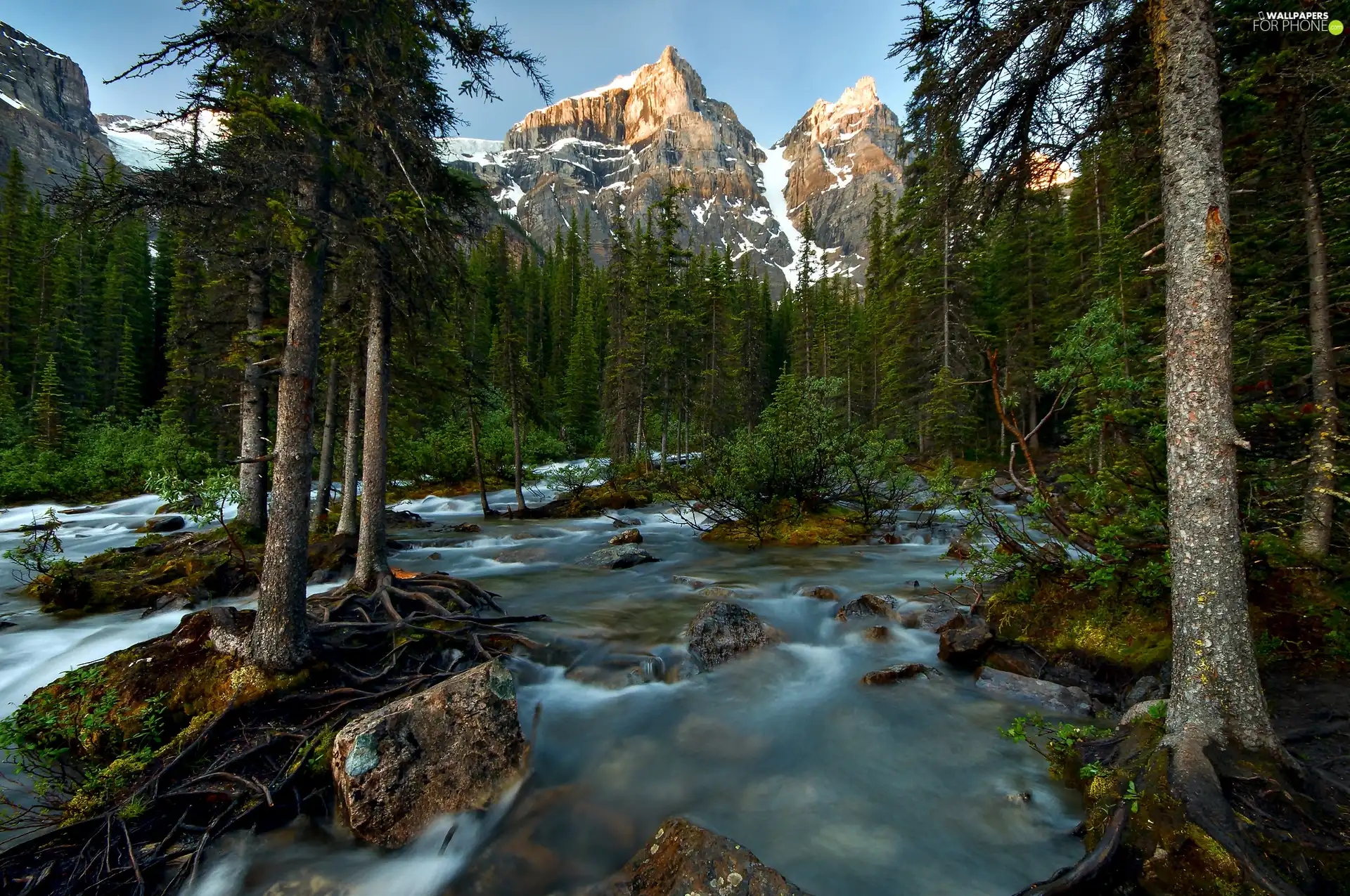 Mountains, rapid, stream, forest