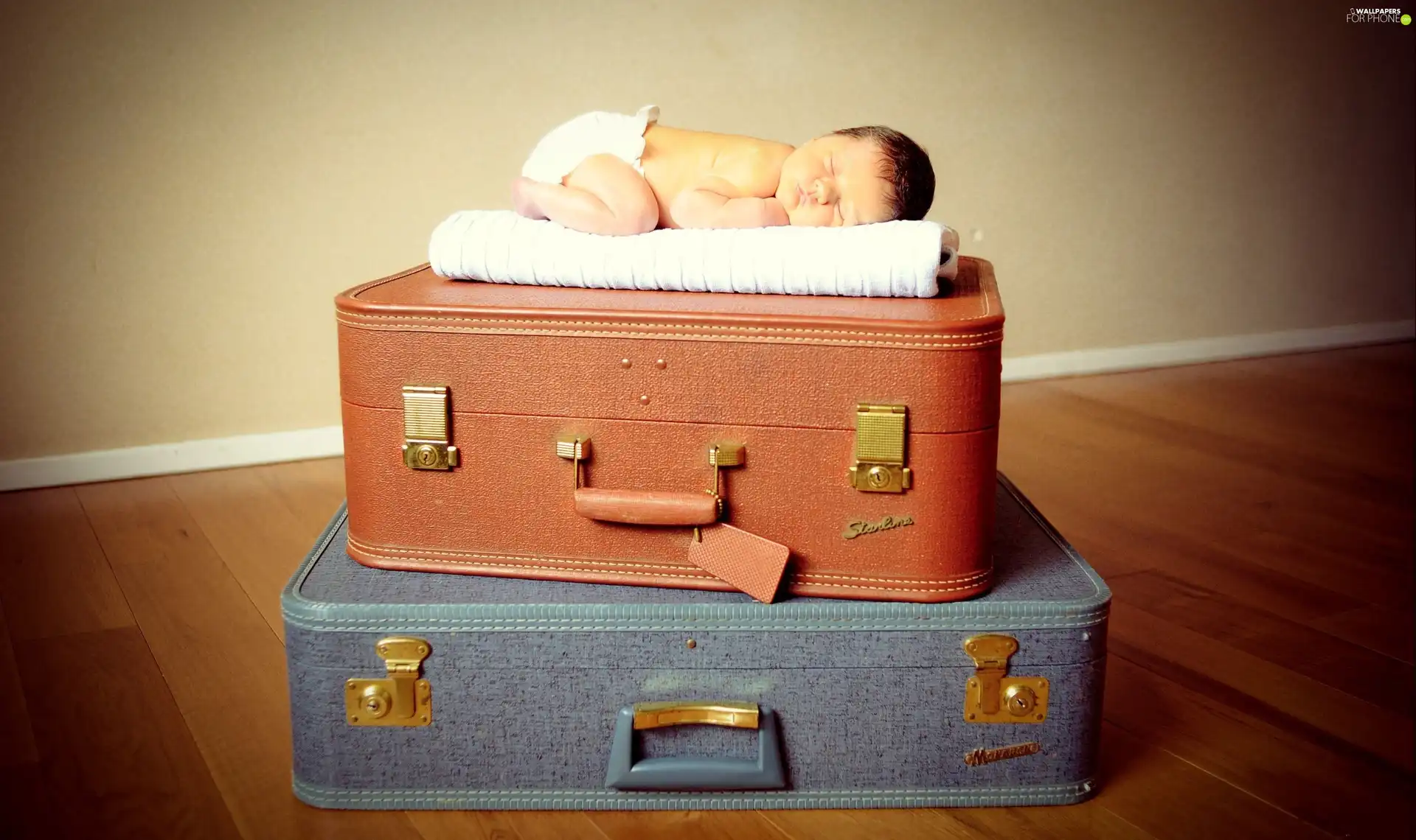 suitcase, sleeping, babe