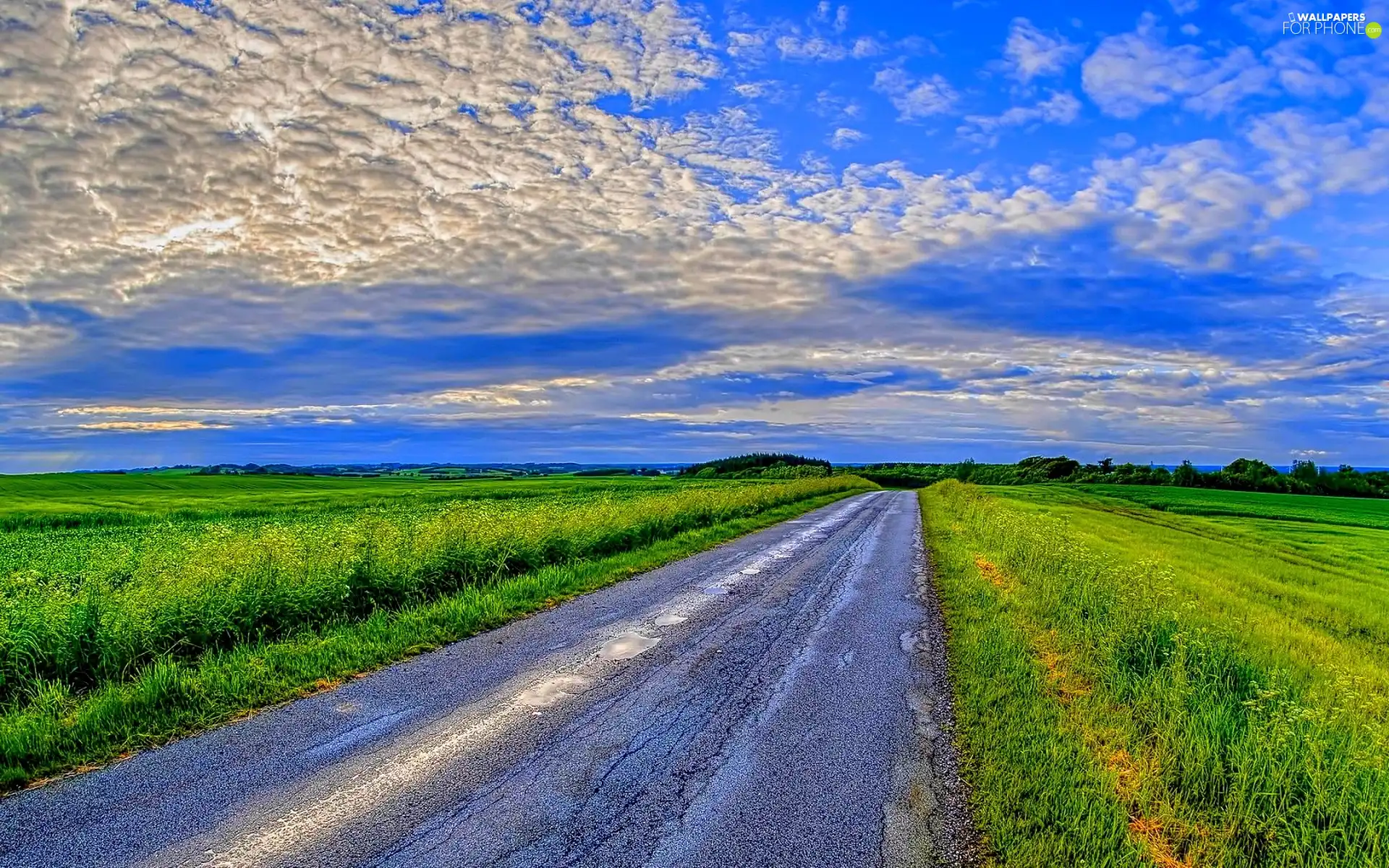 clouds, field, summer, Way