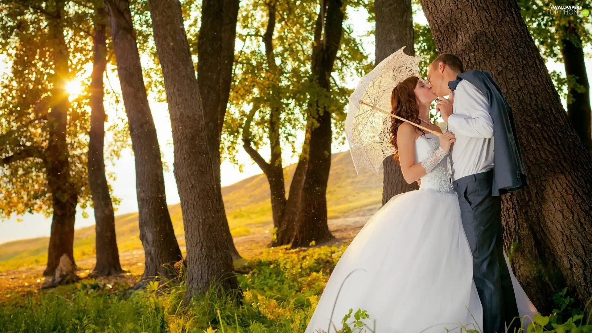forest, Steam, sun, autumn, rays, newlyweds