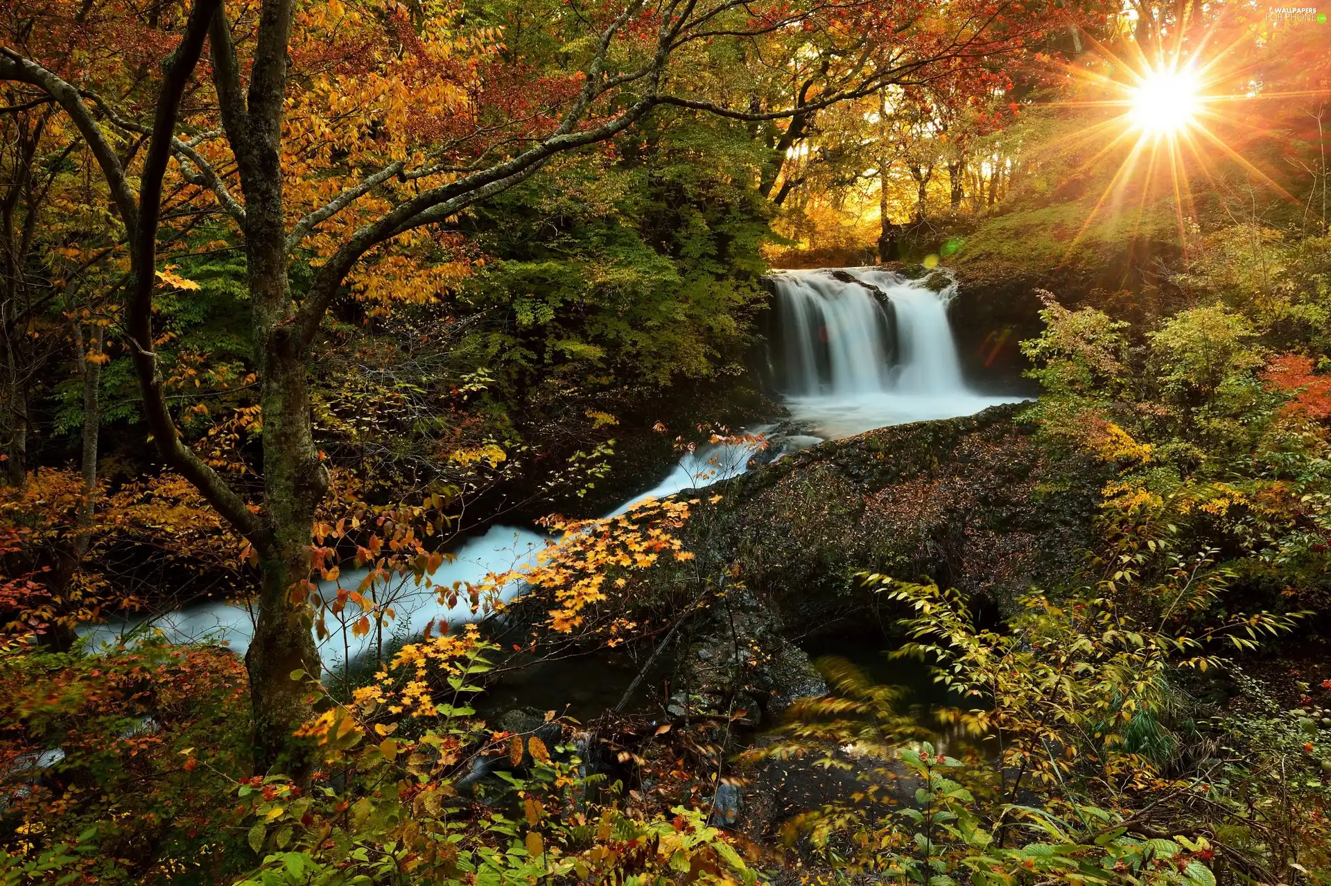 sun, autumn, forest, rays, waterfall