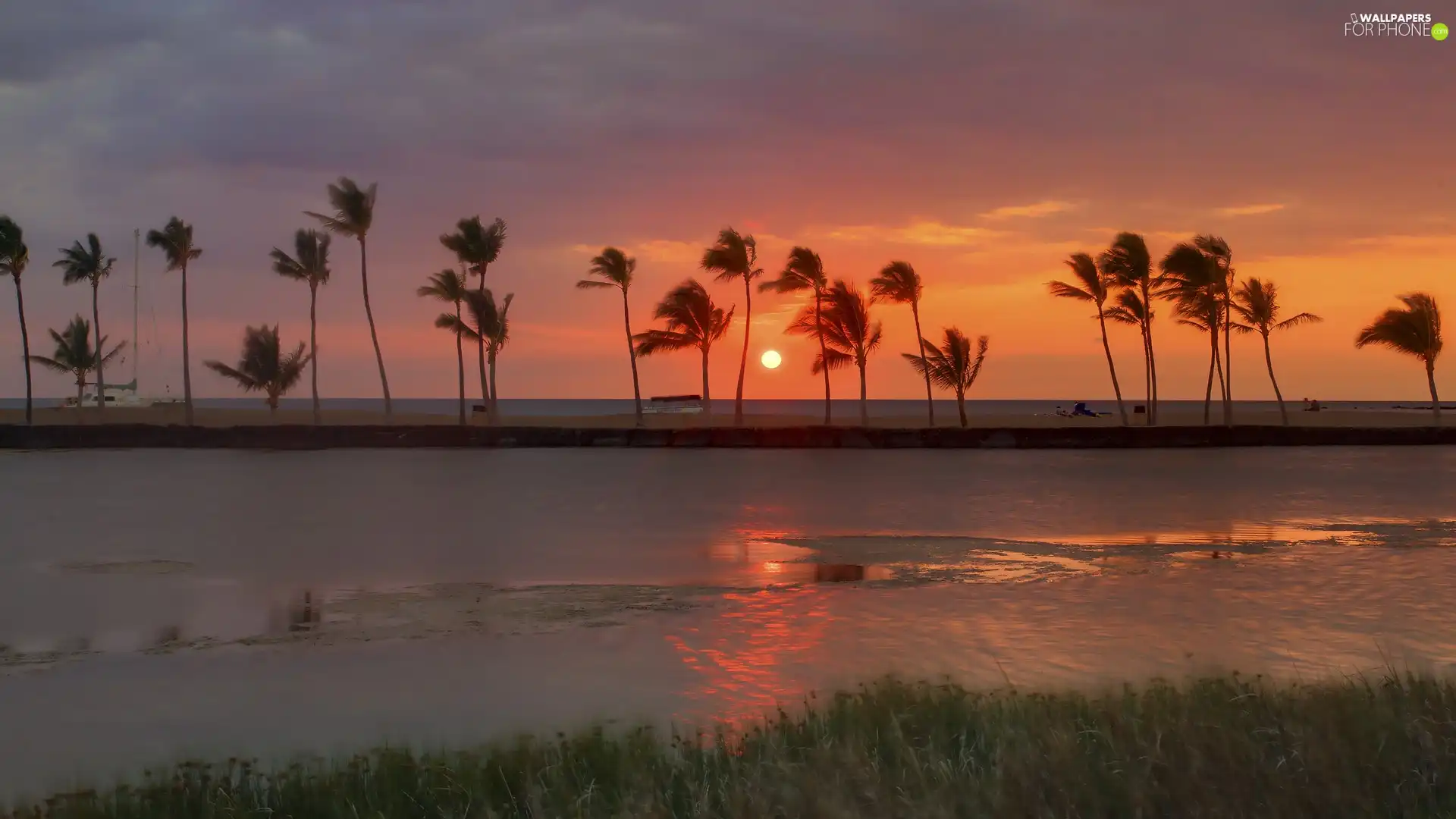 Beaches, west, sun, Palms