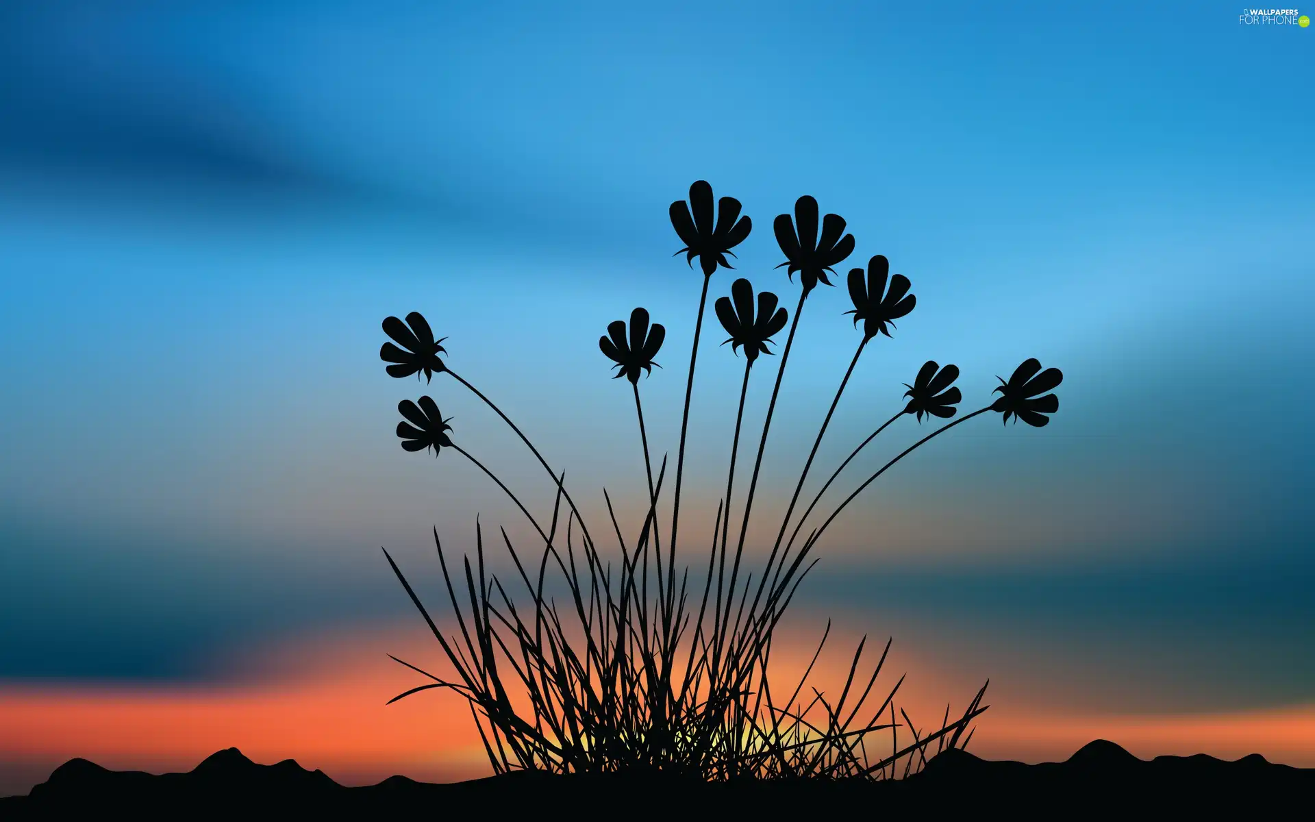 Flowers, west, sun, Mountains