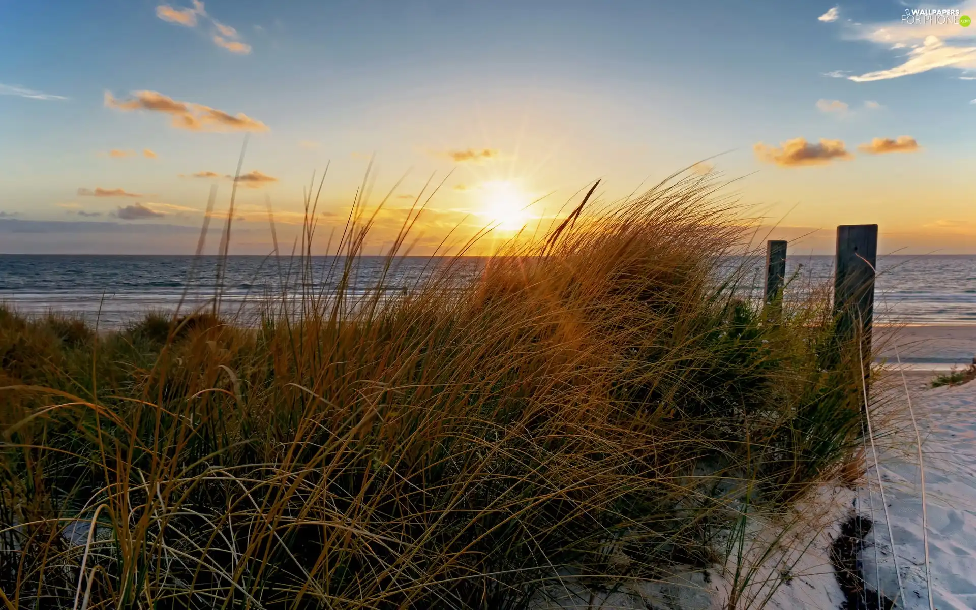 sun, grass, Beaches, rays, sea