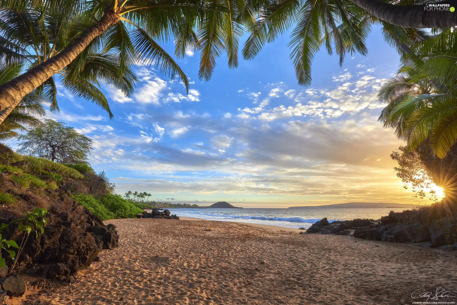 Beaches, Palms, rays of the Sun, sea, Aloha State Hawaje