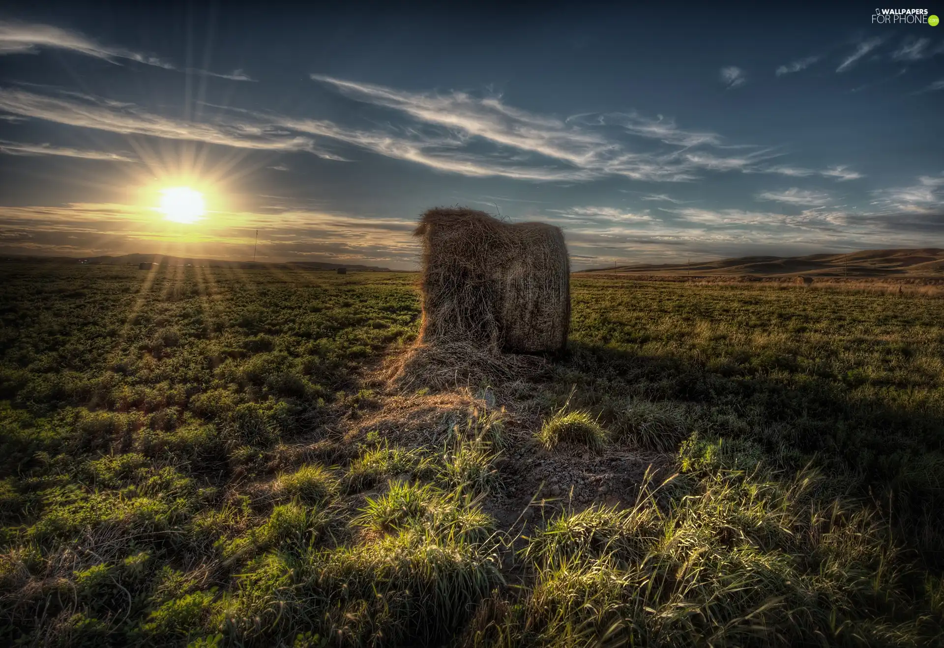 Hay, rays, sun, grass