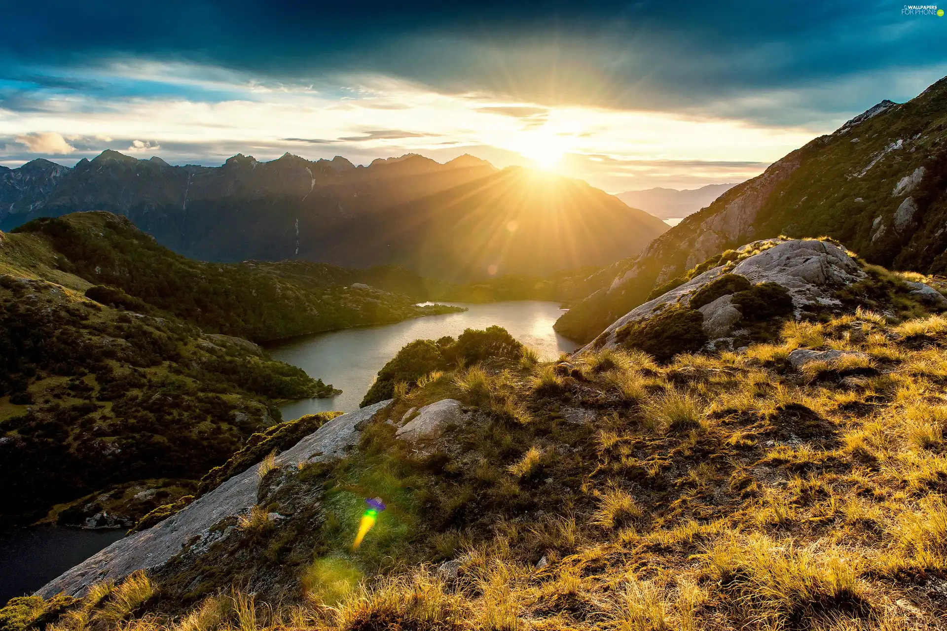 sun, Plants, River, rays, Mountains