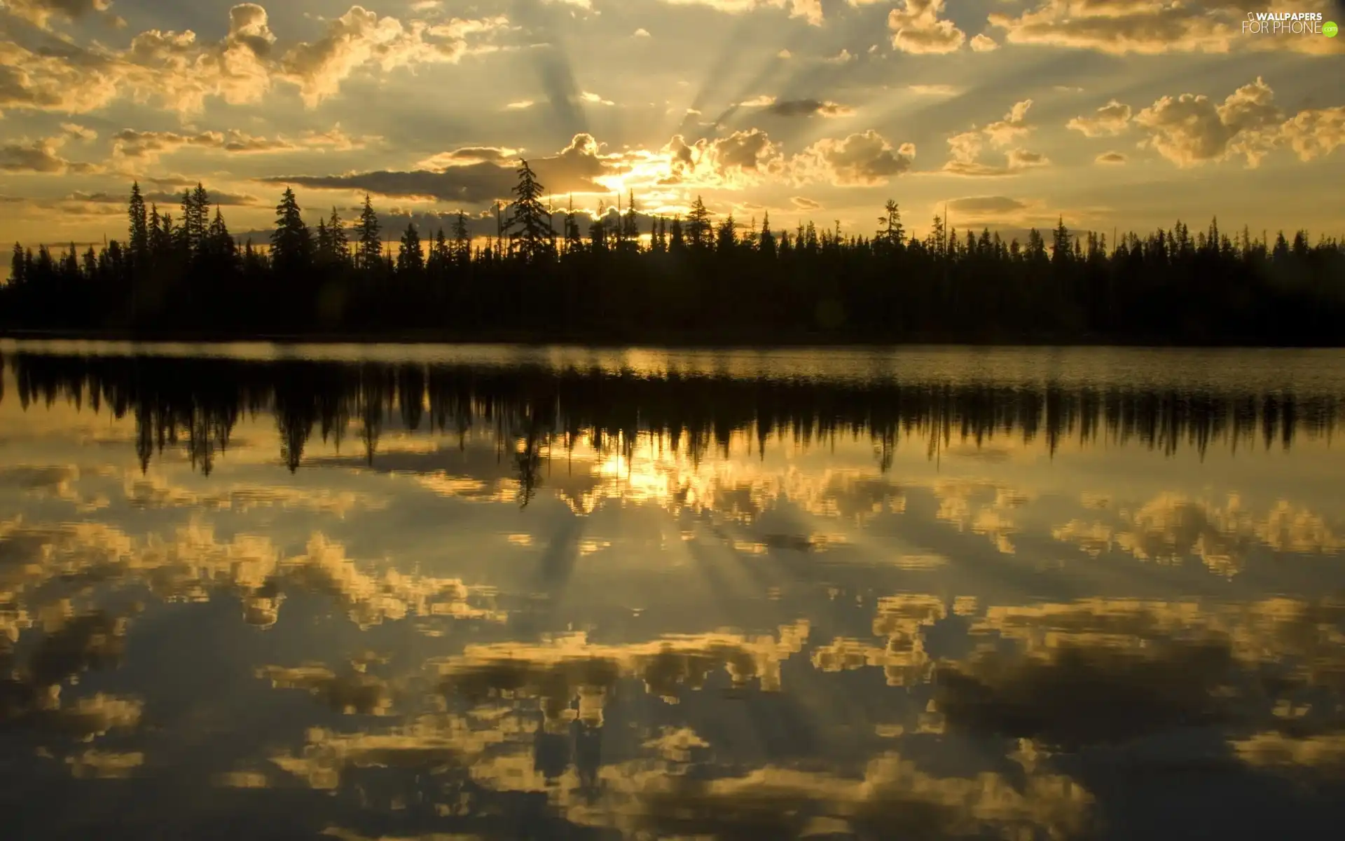 sun, reflection, lake, west, forest